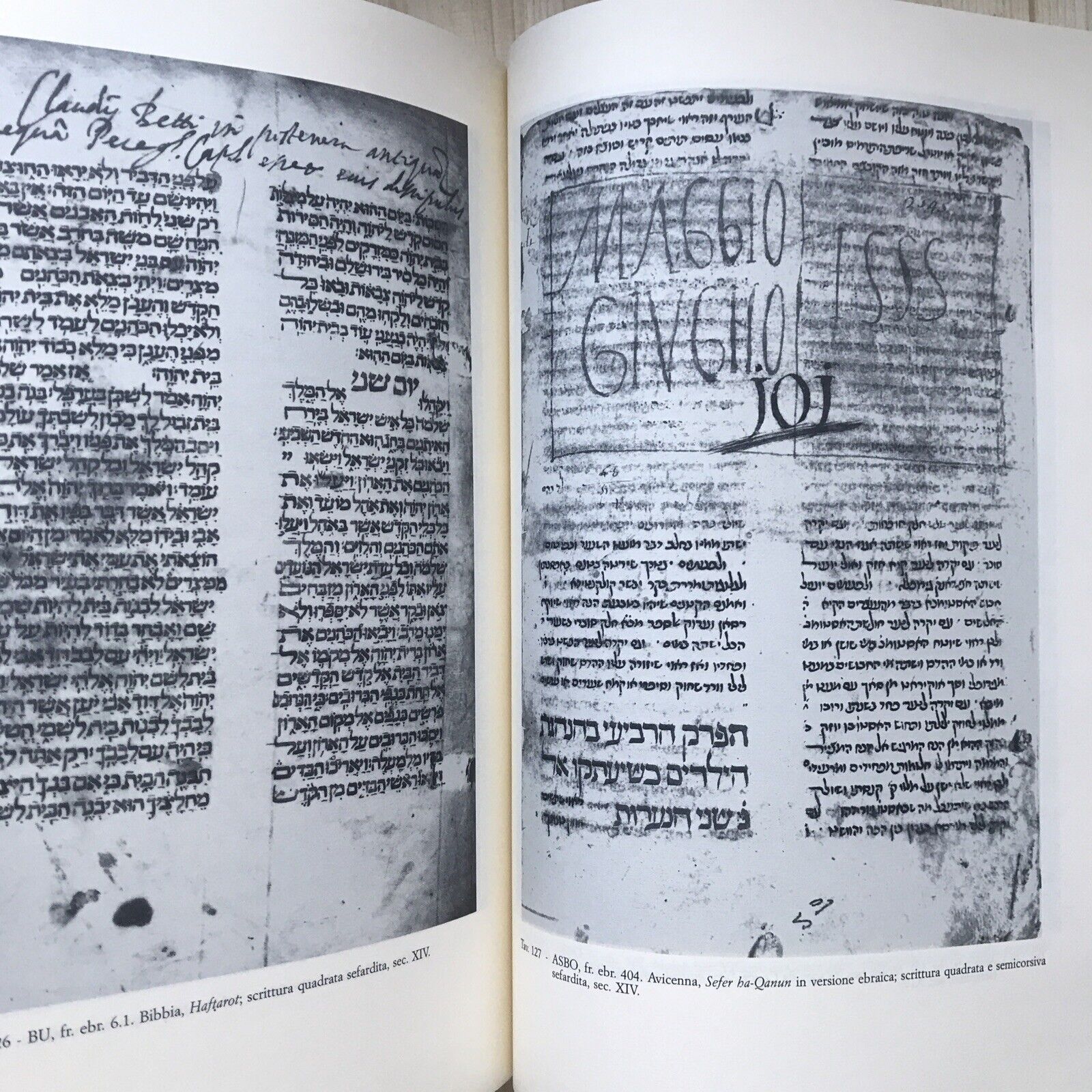 I FRAMMENTI EBRAICI DI BOLOGNA, archivio di stato e collezioni minori, Olschki