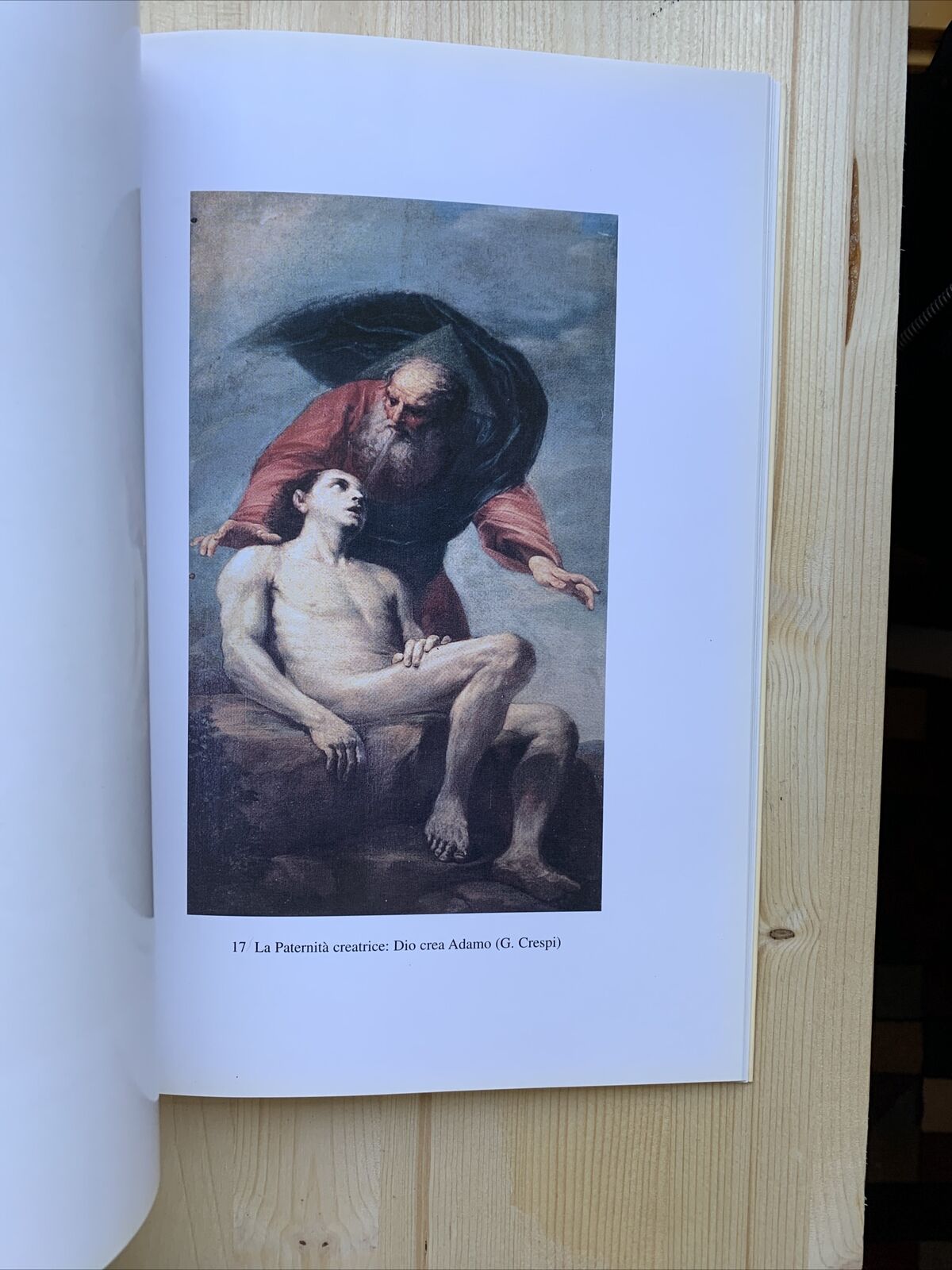 LibroBASILICA SAN PAOLO MAGGIORE congregazione Chierici Barnabiti. Bologna 1999#