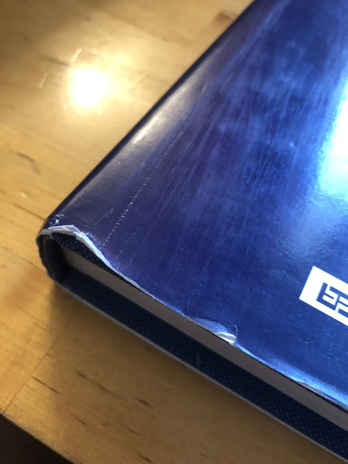 Ceramiche occidentali del museo medievale Bologna Ceramica ottocento nel Veneto