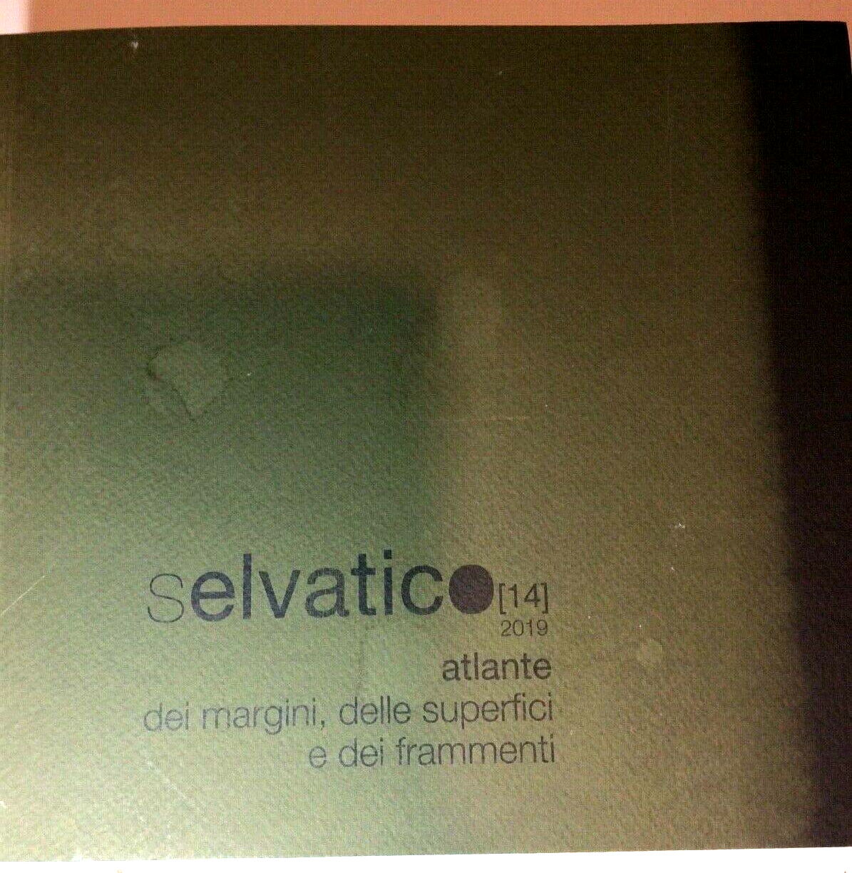 ATLANTE DEI MARGINI, DELLE SUPERFICI E DEI FRAMMENTI.SELVATICO (14) 2019
