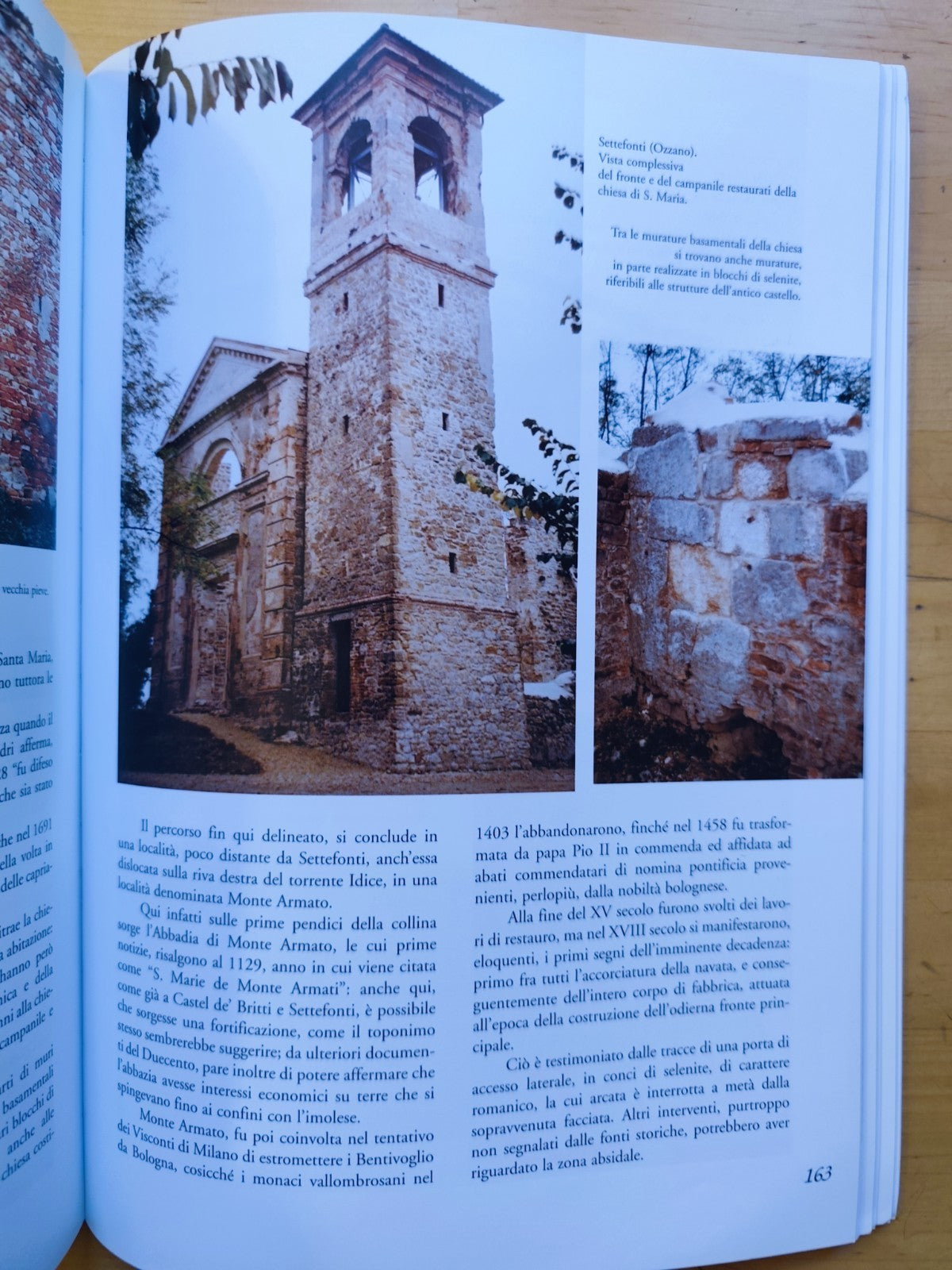 Bologna di Selenite, Una pietra racconta, Francesca Cerioli, I. Corna. Costa ed.