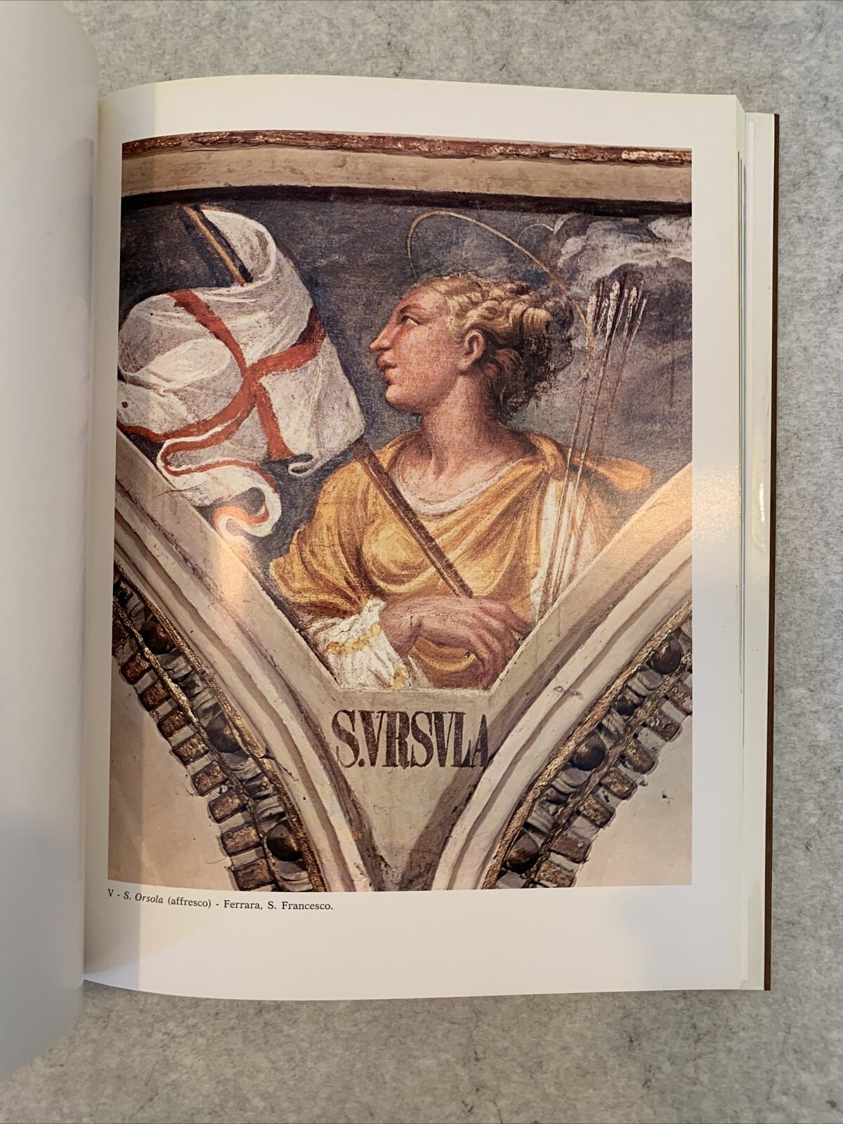 GIROLAMO DA FERRARA DETTO DA CARPI - L'OPERA PITTORICA, AMALIA MEZZETTI 1977#