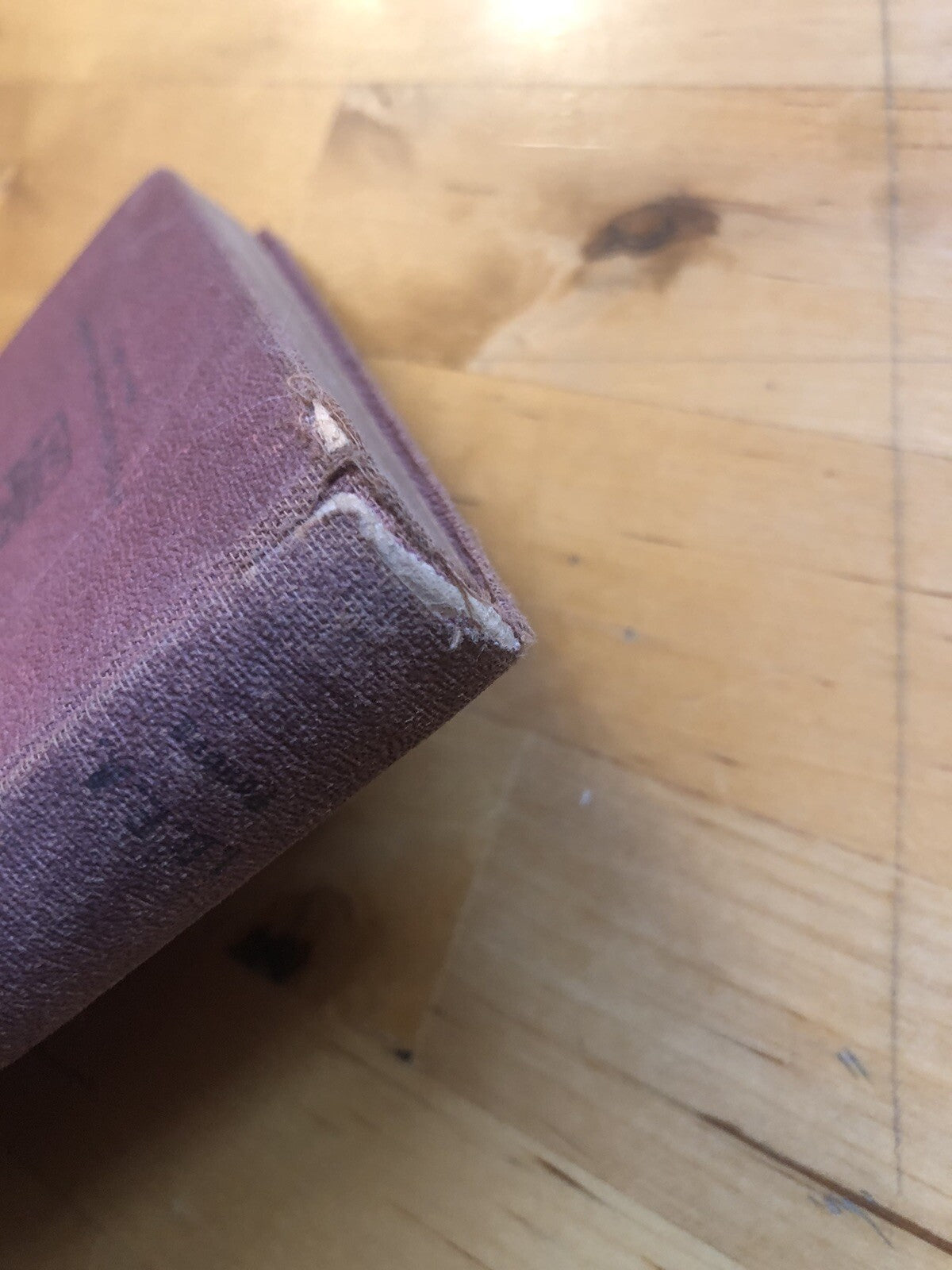 Compendio di economia politica e nozioni preliminari di diritto Paglionica, 1932