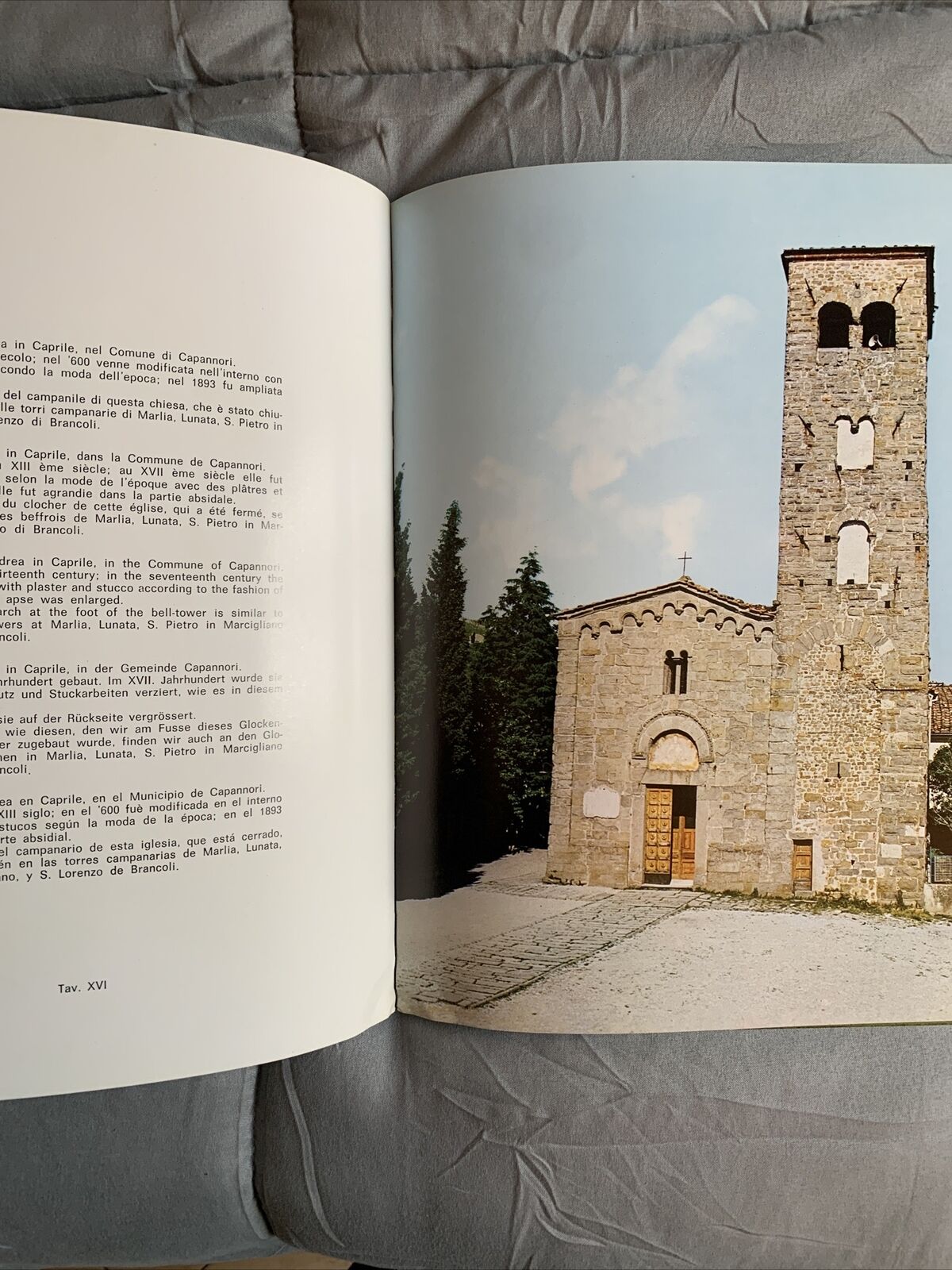 LUCCA NELLE IMMAGINI - centro internazionale per lo studio delle cerchia urbane