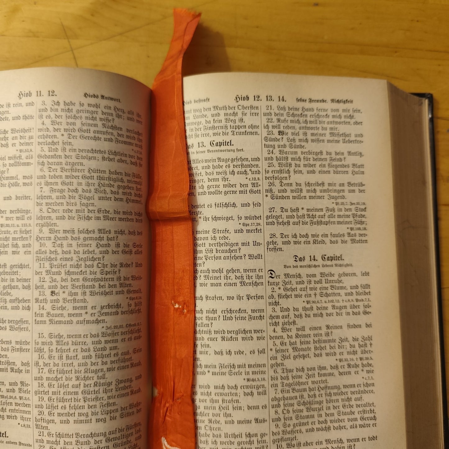 Die Bibel oder die ganze Heilige Schrift des Alten und Neuen Testaments 1898
