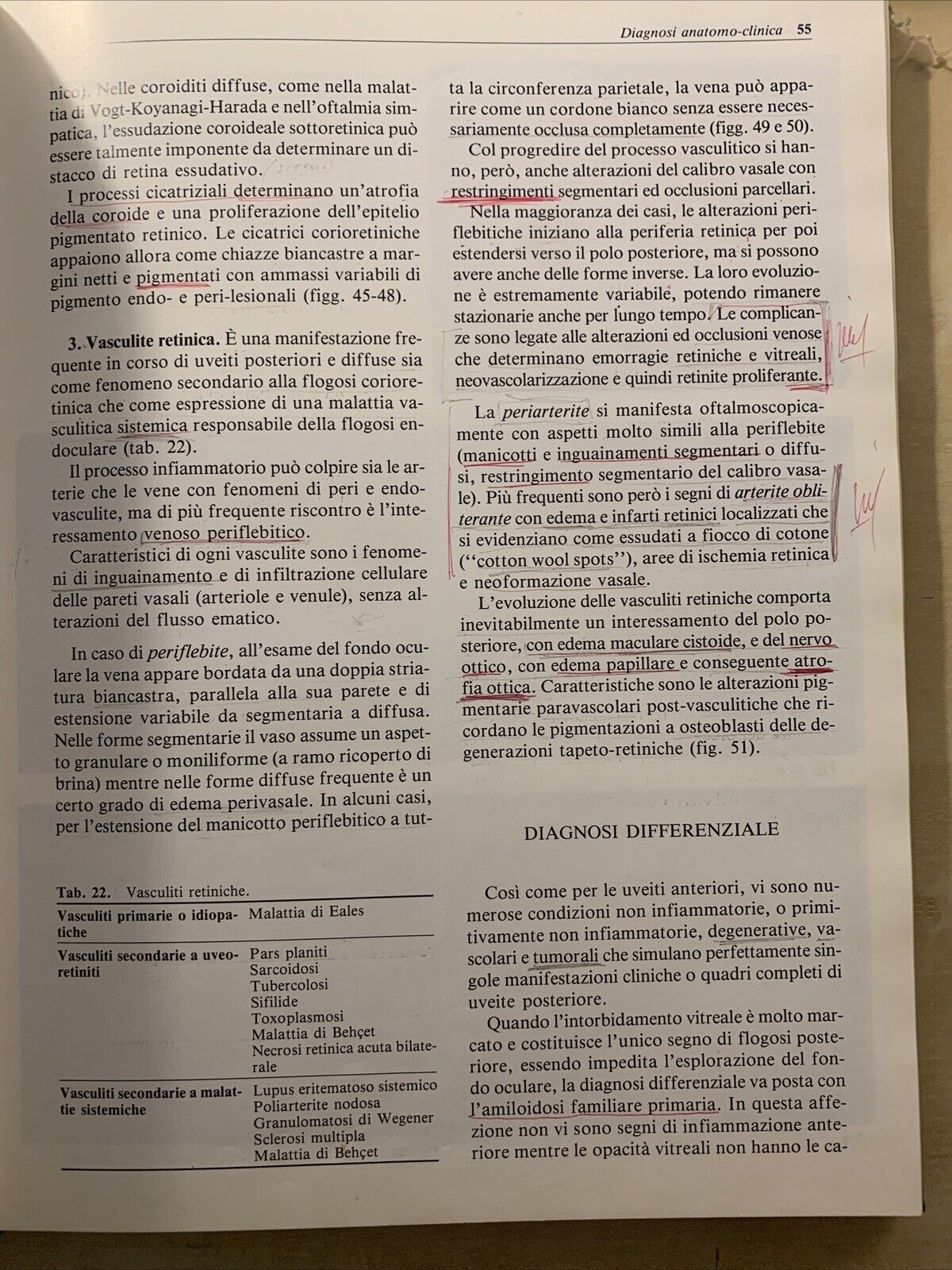 LE FLOGOSI UVEALI - PIVETTI PEZZI, MASSON 1987 #