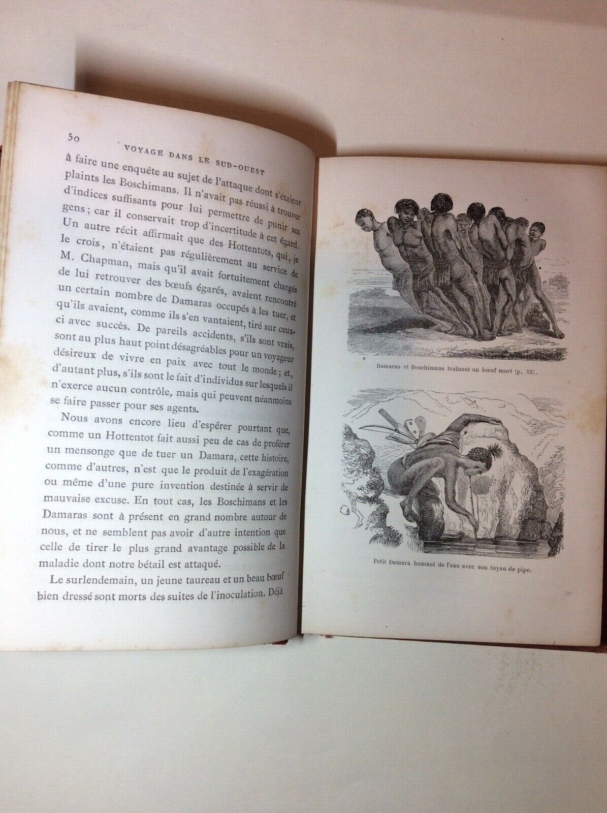 VOYAGE DANS LE SUD-OUEST DE L'AFRIQUE  THOMAS BAINES  HACHETTE  1869 viaggi