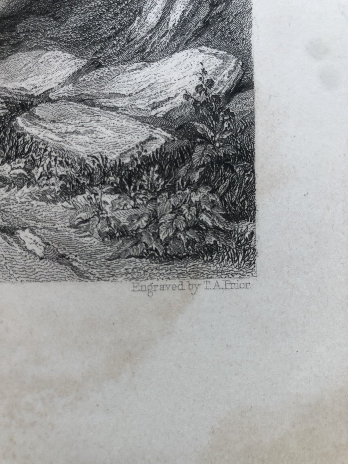 Incisione stampa Città di Bologna 1847 - disegno di W. Brockendon