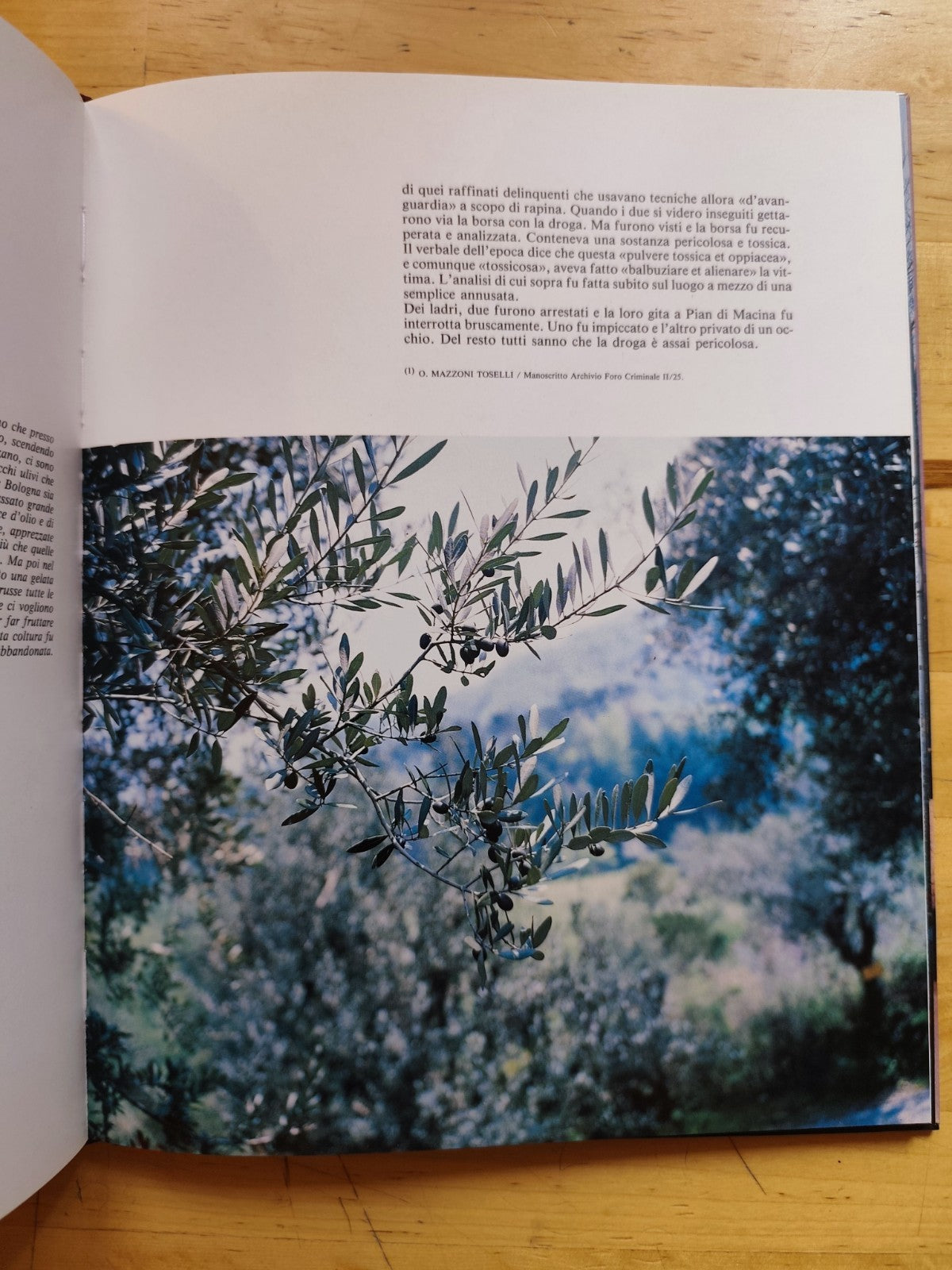 Bologna dietro l'angolo - Tiziano Costa, c'era Bologna 1992