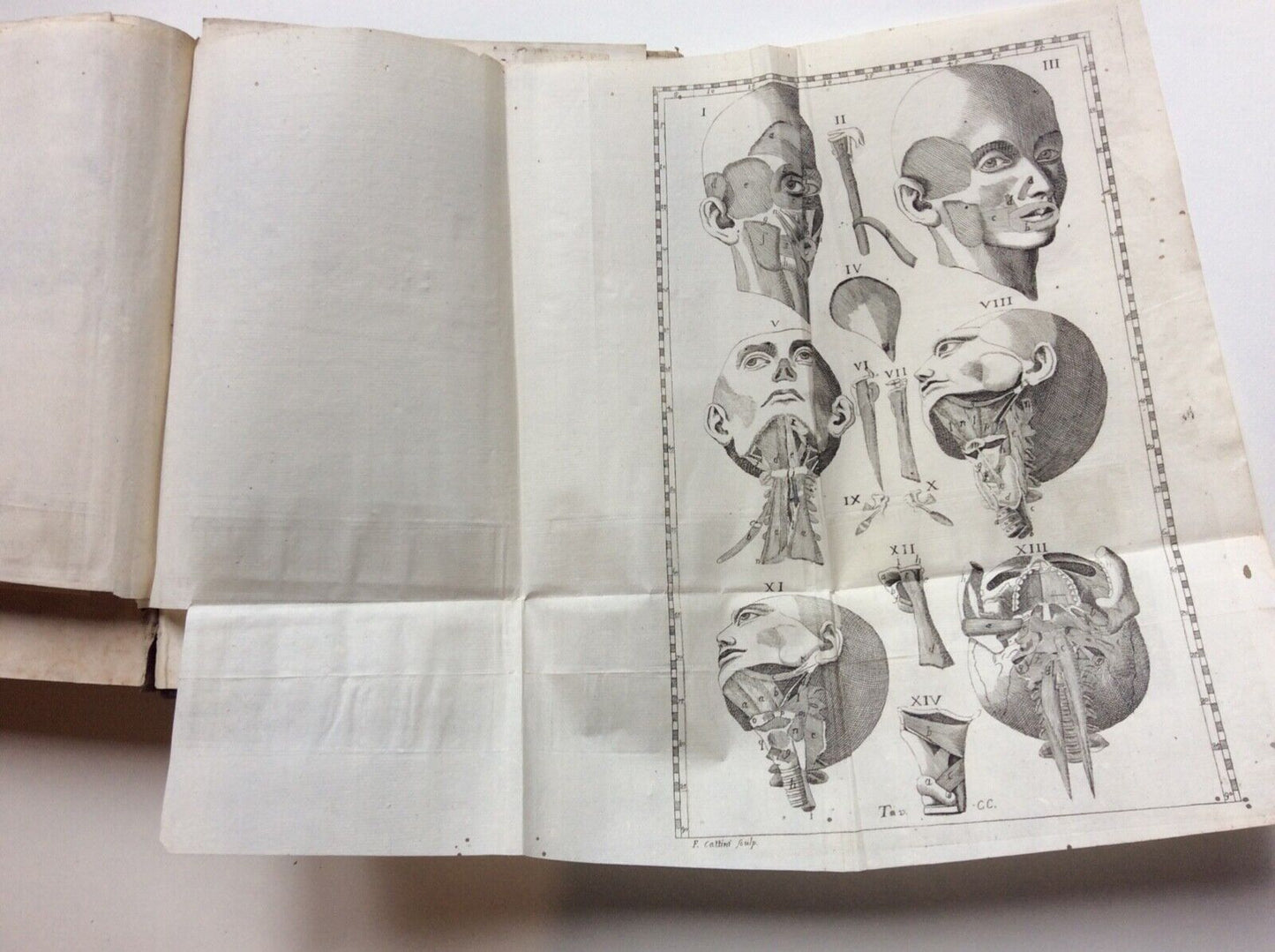 ESPOSIZIONE ANATOMICA DELLA STRUTTURA DEL CORPO UMANO, WINSLOW, 1767, 2 tomi