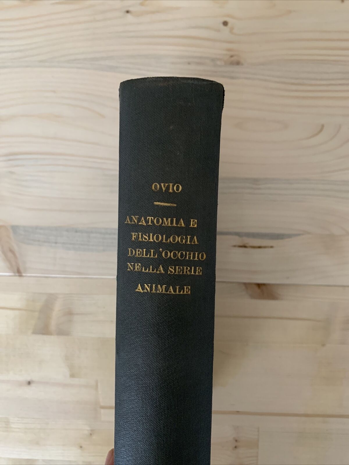 ANATOMIA E FISIOLOGIA DELL'OCCHIO NELLA SERIE ANIMALE - Giuseppe Ovio 1925 #