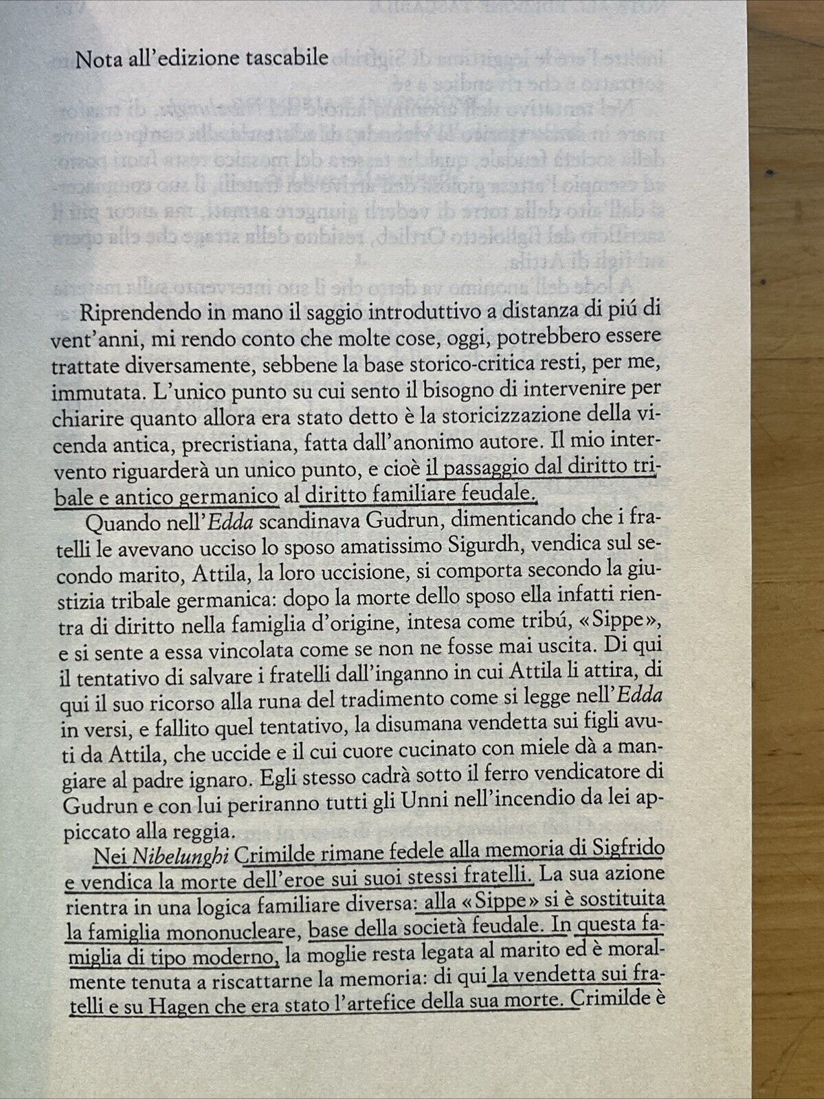 I Nibelunghi, Laura Mancinelli - Einaudi 1995