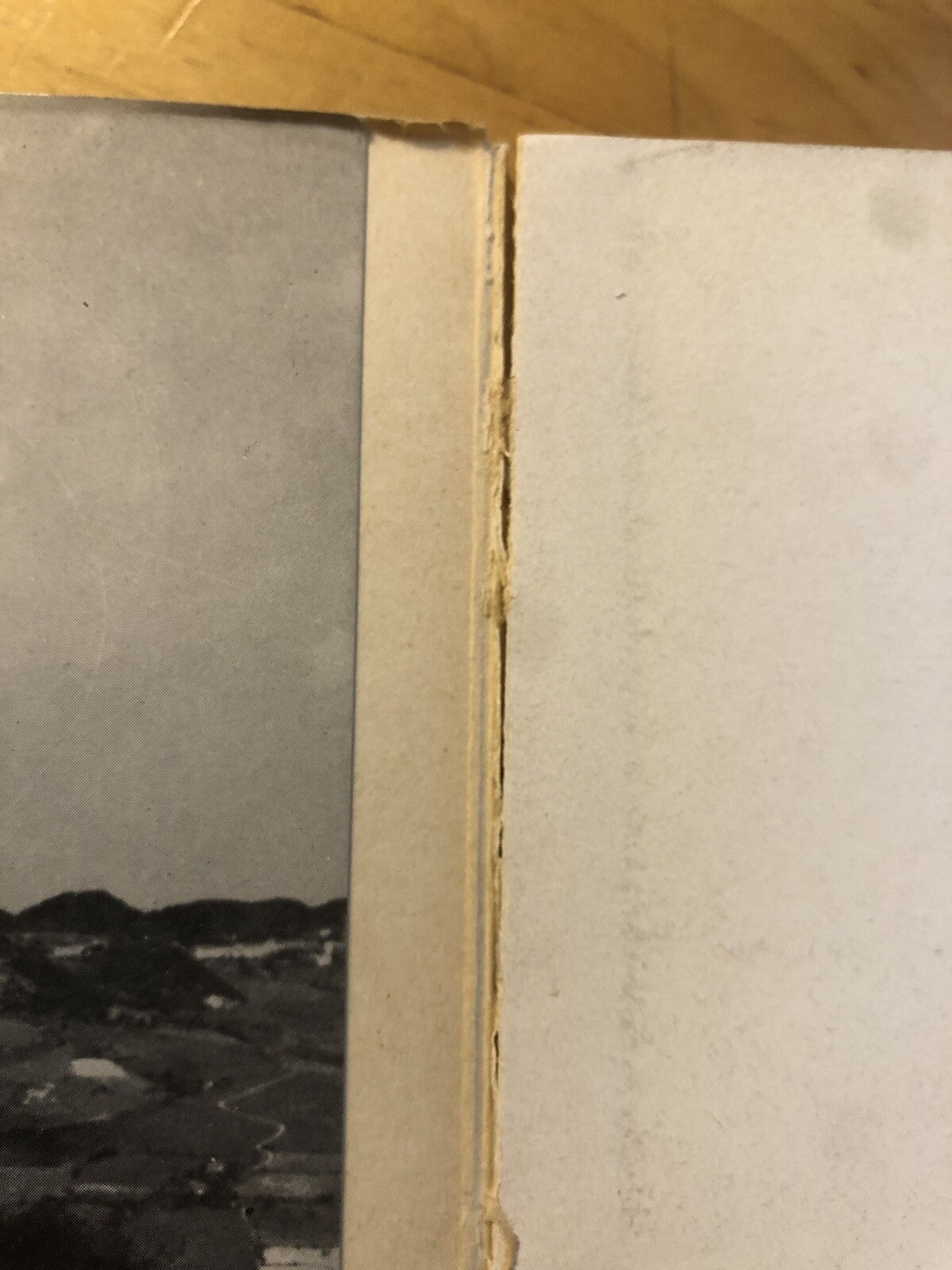 Monzuno territorio e beni culturali di un'area comunale dell'Appennino Bolognese