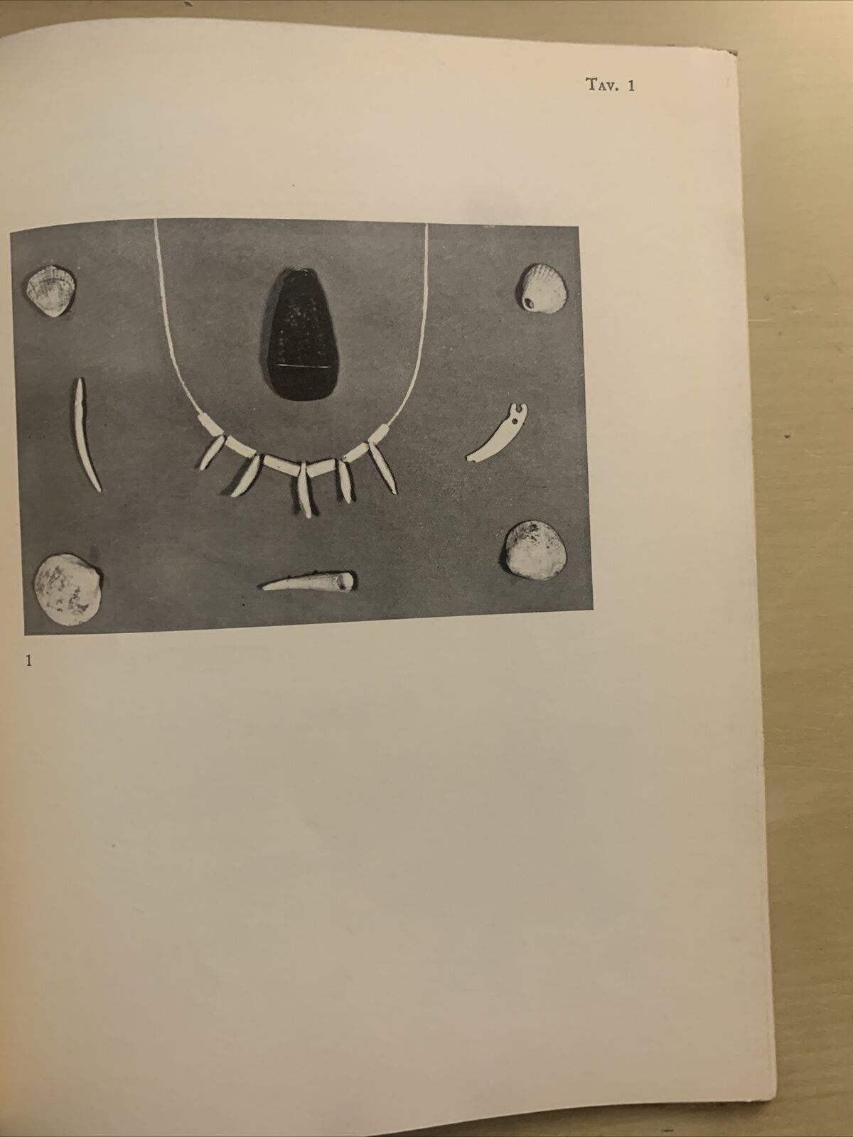 LAVORI IN OSSO E AVORIO - MUSEO CIVICO BOLOGNA CATALOGO DELLA MOSTRA #