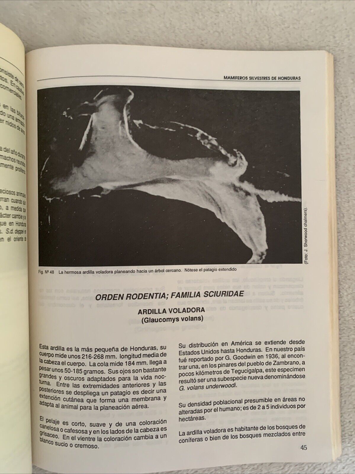 Mamiferos silvestres de Honduras. Leonel Marineros, F. Martìnez Gallegos 1988