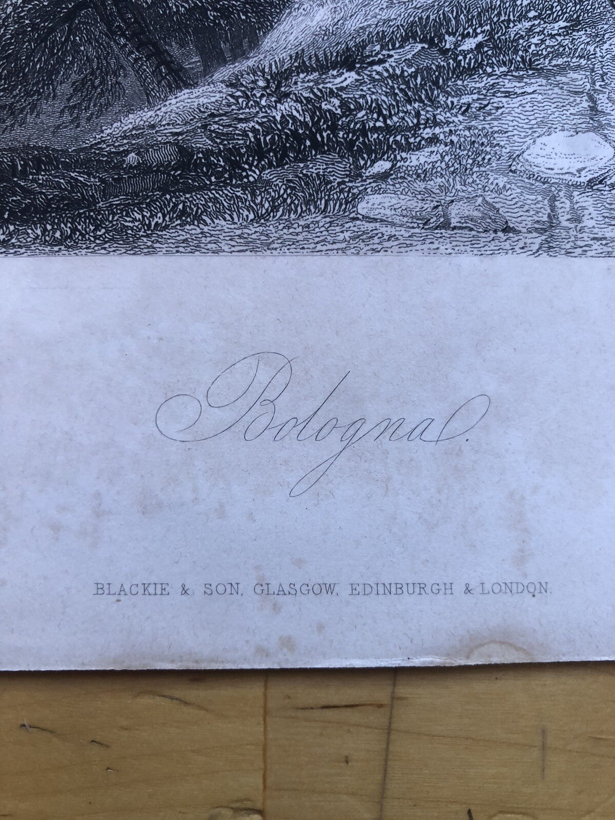 Incisione stampa Città di Bologna 1847 - disegno di W. Brockendon