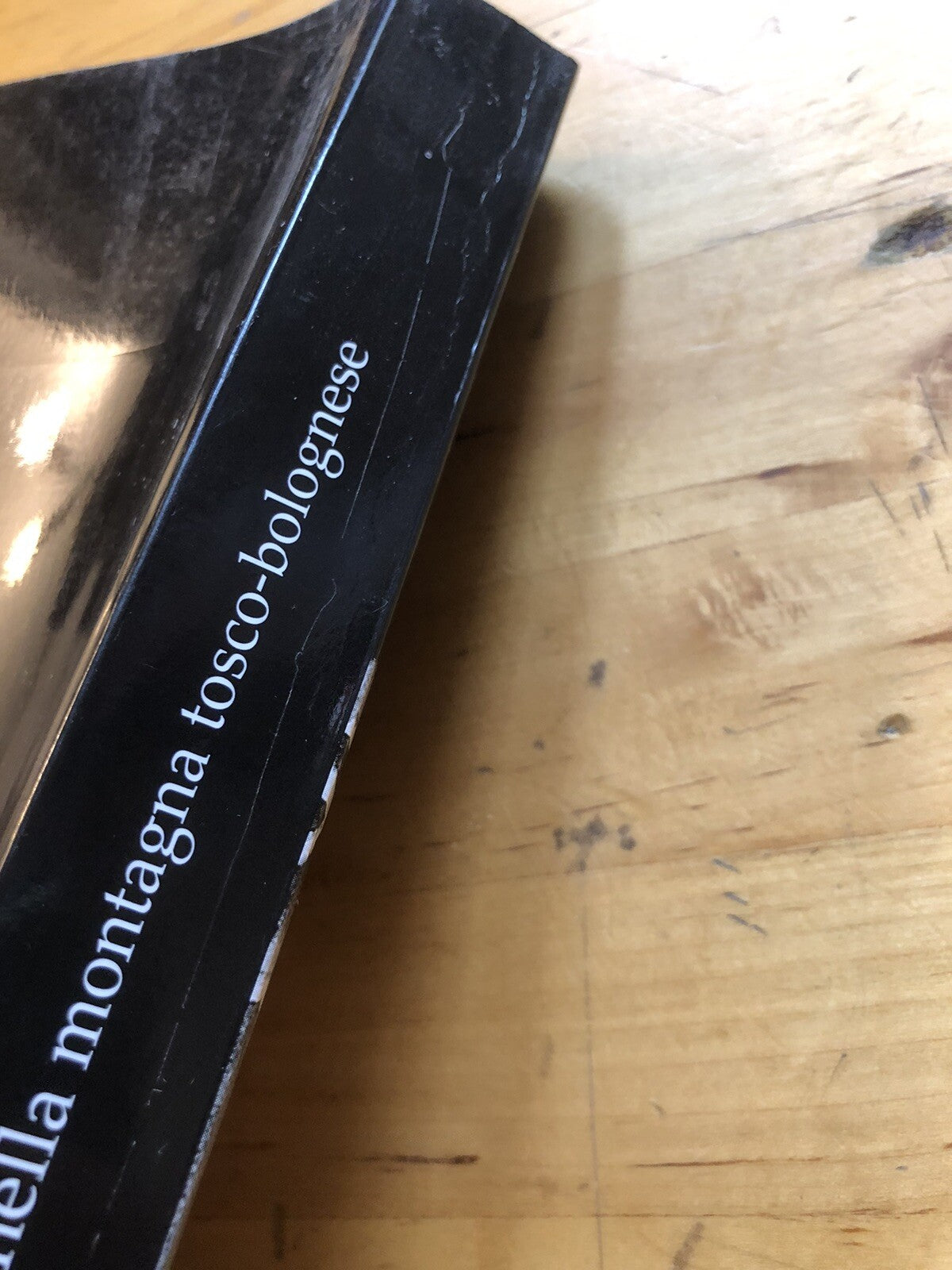 Il Medioevo nella montagna tosco-bolognese, Renzo Zagnoni. Bologna Porretta Term