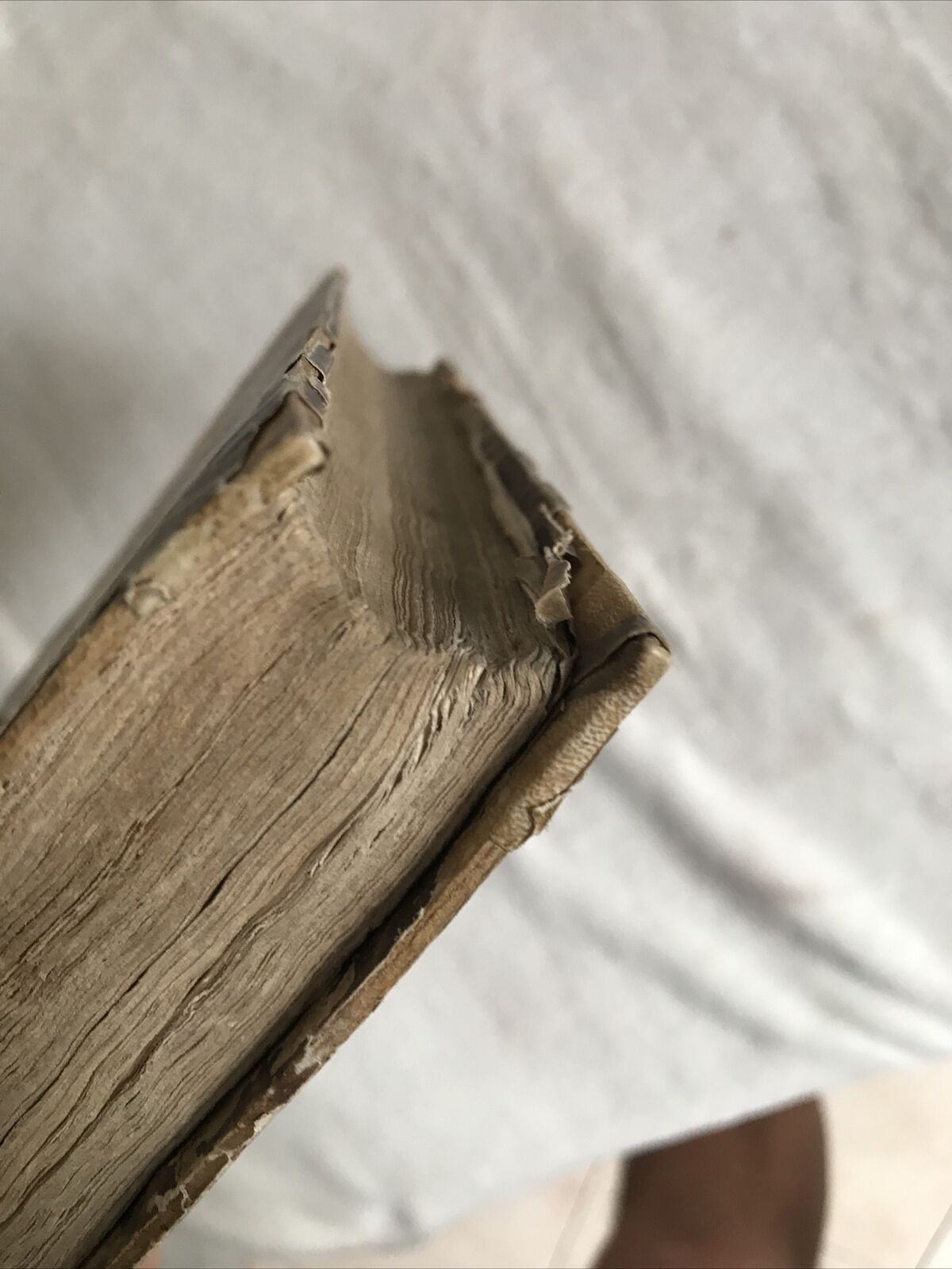STORIA DELL'INSURREZIONE SICILIANA, Giovanni la Cecilia, Sanvito 1861 - Vol 2