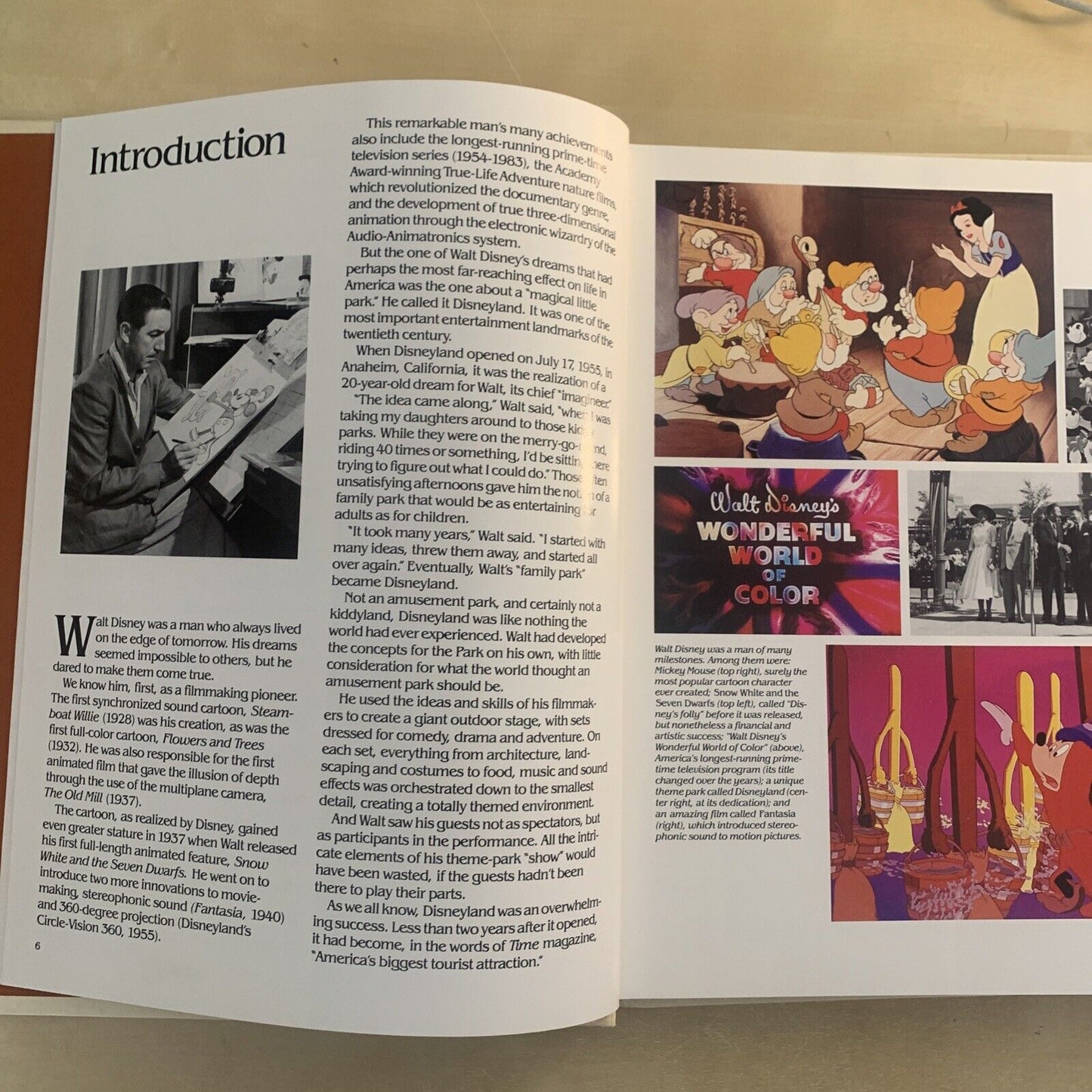 WALT DISNEY WORLD BOOK - Hardcover souvenir book **Rare** DISNEYLAND #