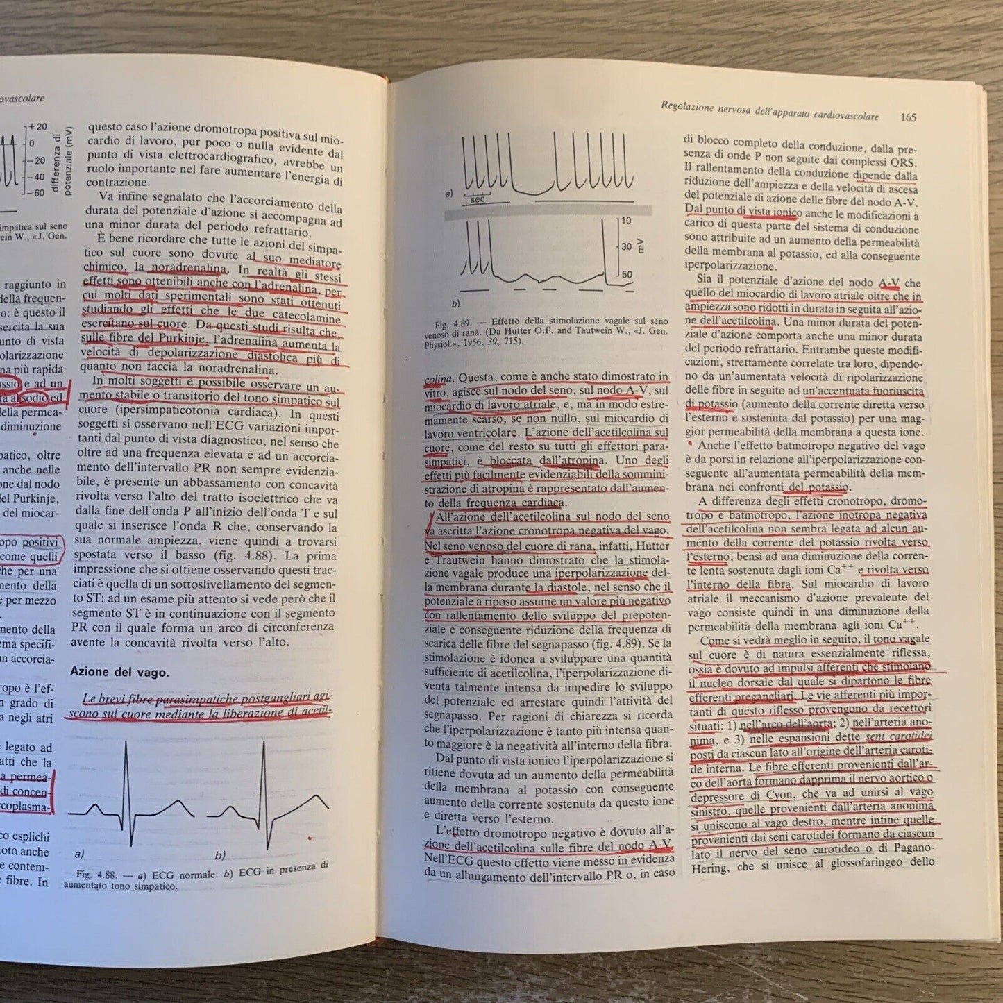 ELEMENTI DI FISIOLOGIA DELL'UOMO - UTET. Fabio Francini, Losano G. UTET 1985
