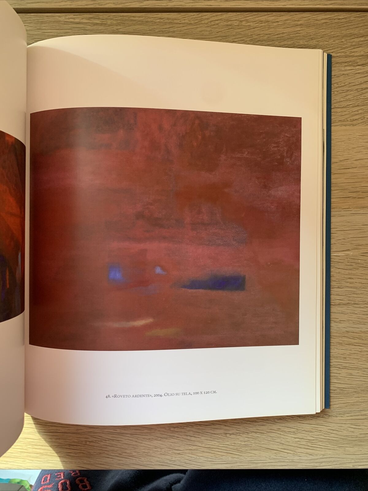 FRANCO BERALDO, La verità del colore. Opere 1979 - 2014. Allemandi & C. #