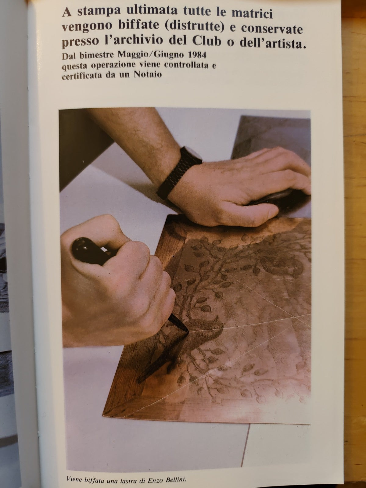 Dialoghi Club incontro con la grafica moderna catalogo riassuntivo 1973-1984