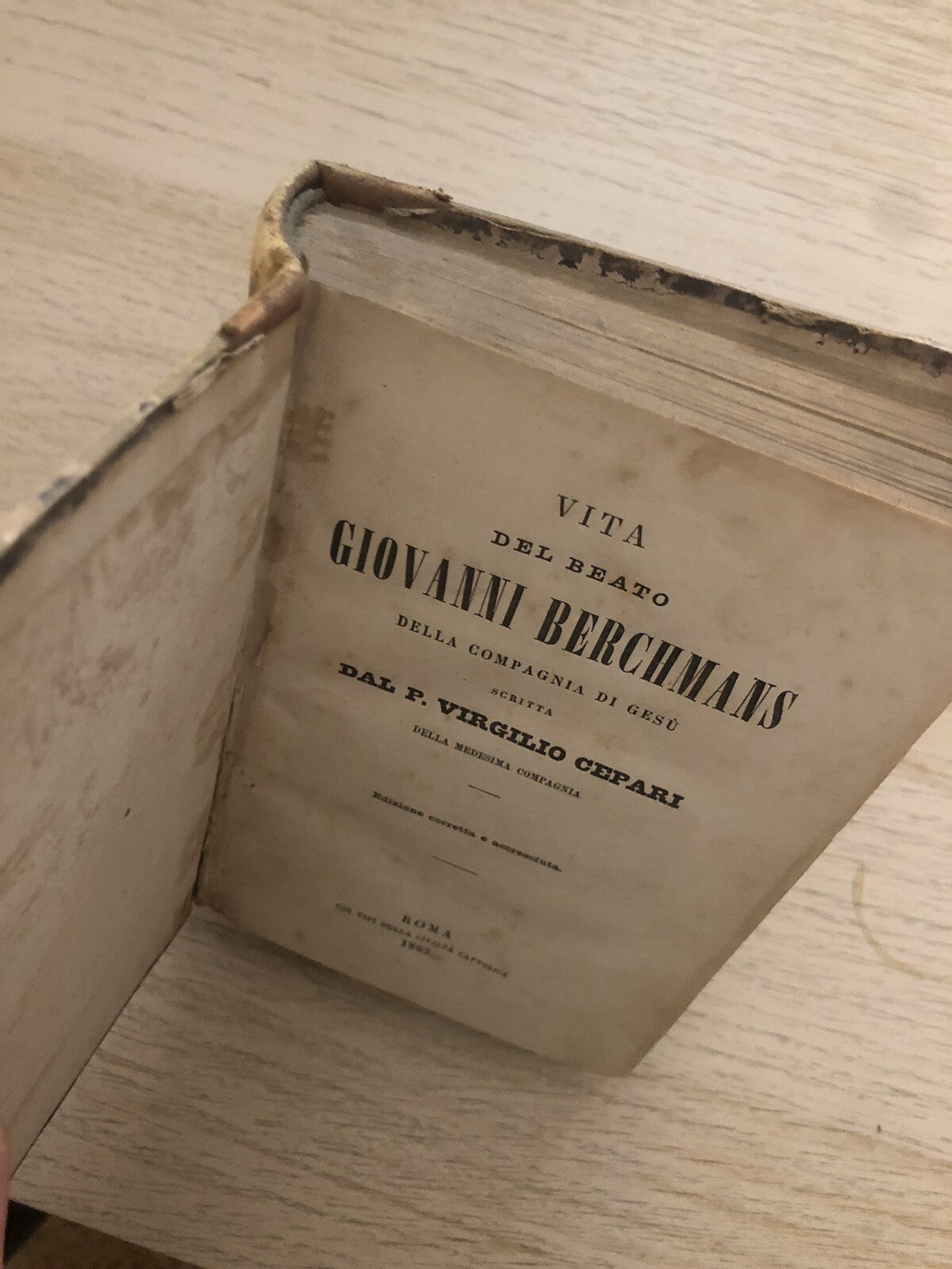 Vita del beato Giovanni Berchmans della compagnia di Gesù - Cepari Virgilio 1865