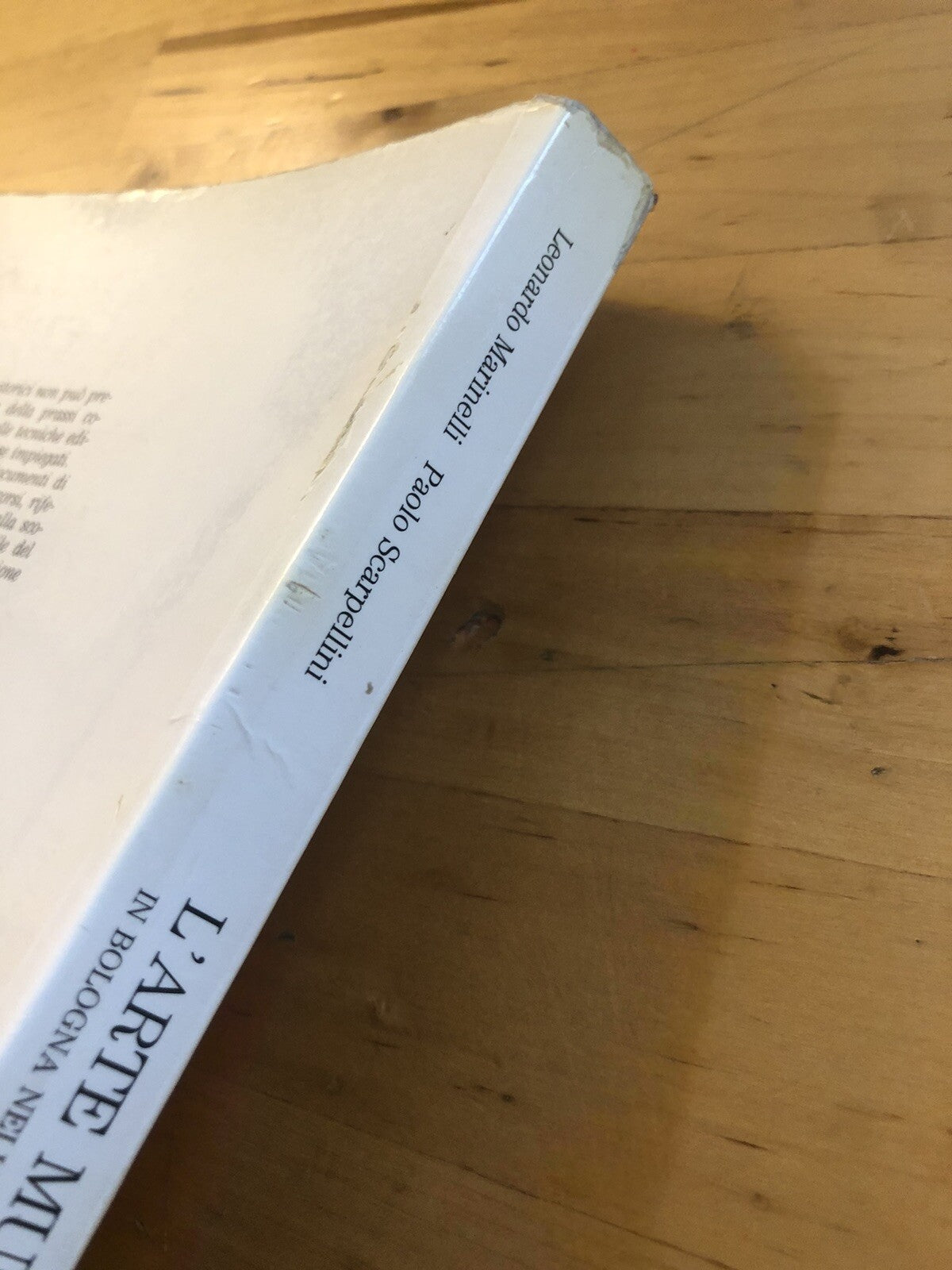 L'arte muraria  in Bologna nell'età Pontificia. Leonardo Marinelli, Scarpellini