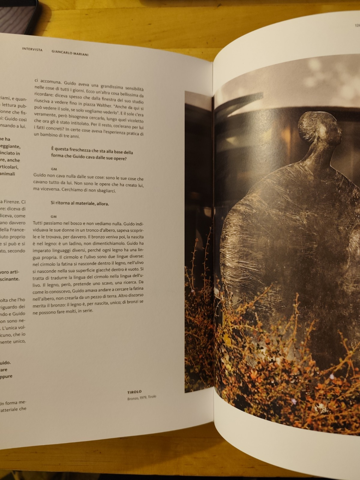 Guido Anton Musso uno sguardo altrove - Andrea Maistrello - Athesia ed. 2013