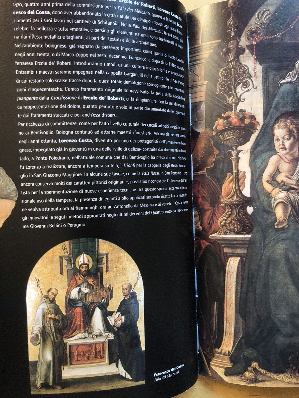 La Pinacoteca Nazionale di Bologna - Rosa D'Amico - Marsilio 2001