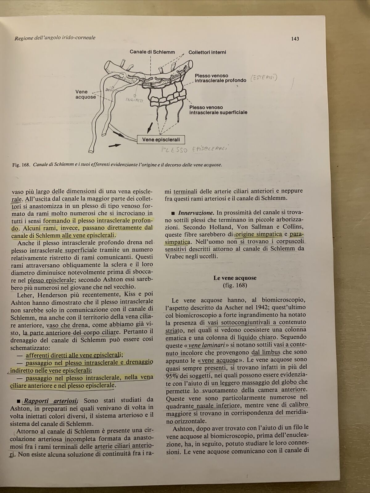 MANUALE DI ANATOMIA E ISTOLOGIA DELL'OCCHIO - SARAUX, LEMASSON, OFFRET. MASSON #