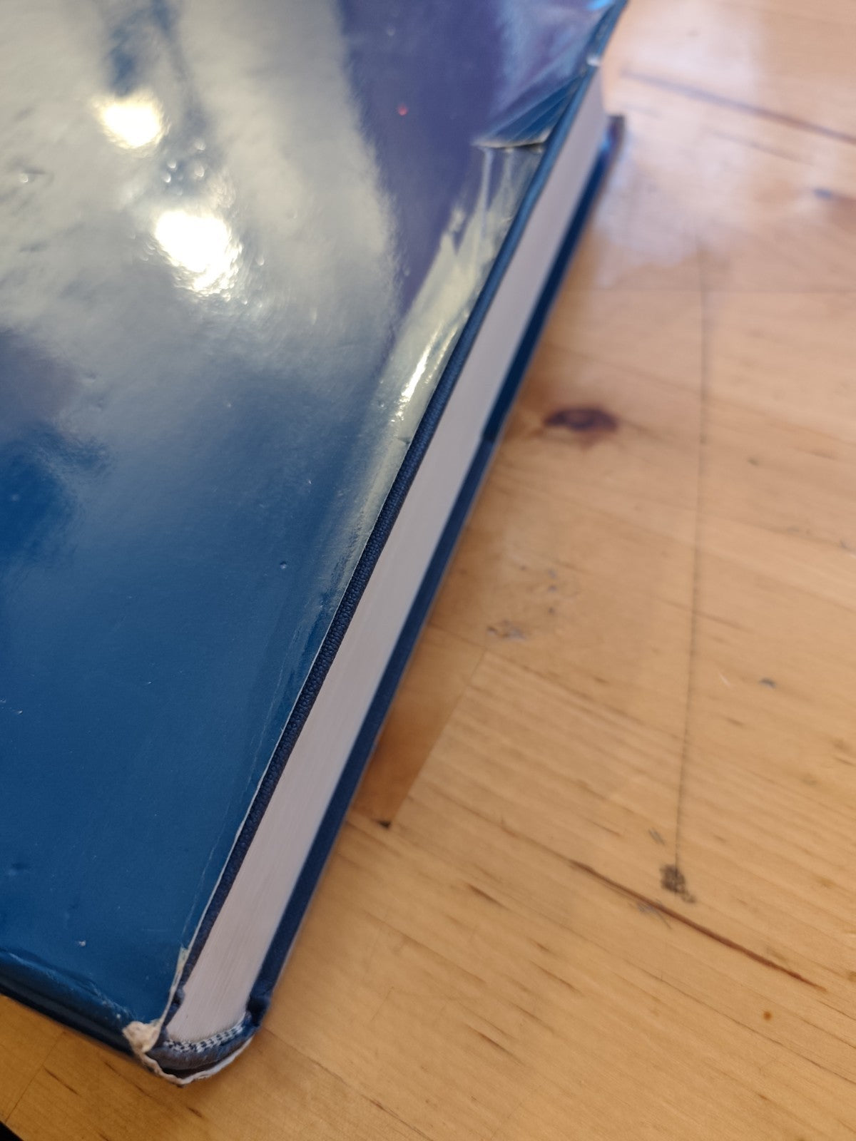 Le Famiglie senatorie di Bologna, Magnani storia genealogia e iconografia, Costa