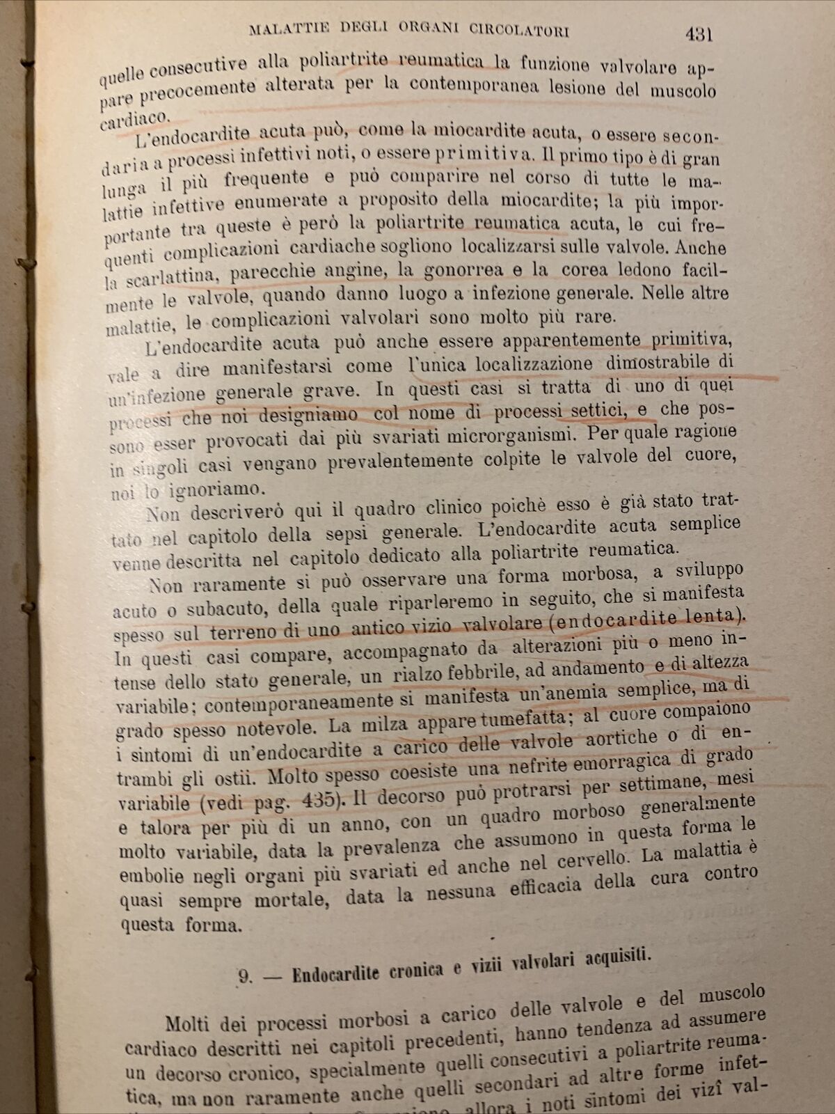TRATTATO DELLE MALATTIE INTERNE, J. v. Mering. Società Editrice Libraria 1926
