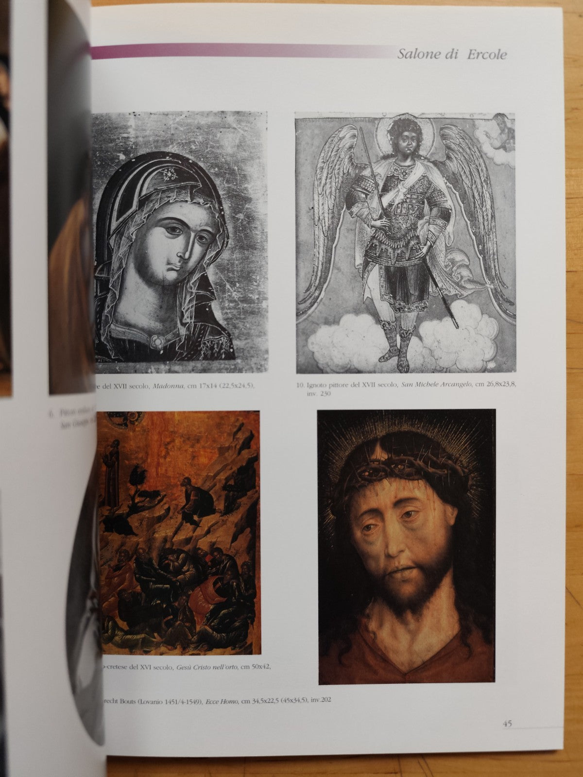 Le antiche stanze Palazzo Pepoli Campogrande e la quadreria Zambeccari, Minerva