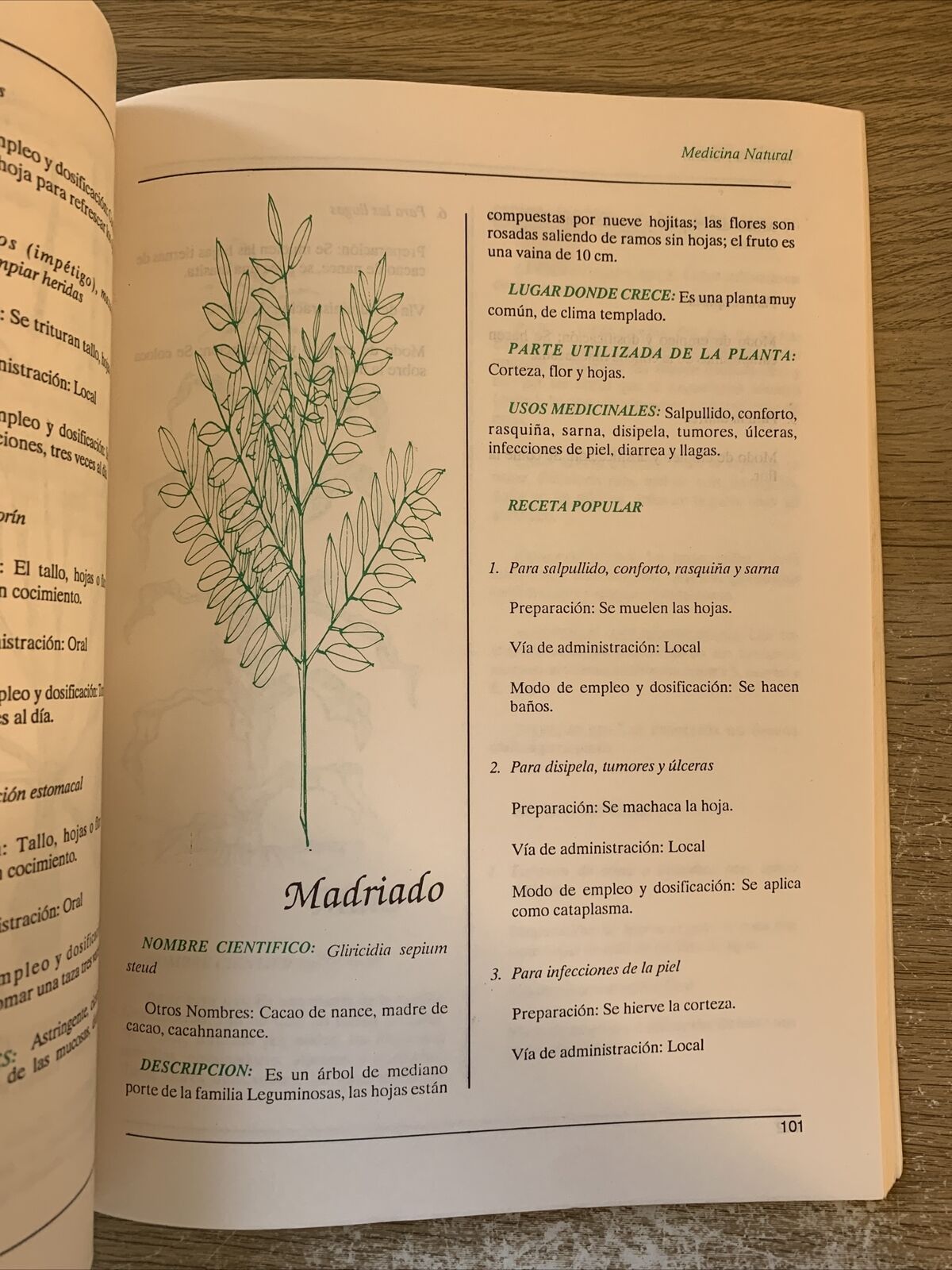 Plantas de uso Medicinal en centro America. Piante medicinali de centro America
