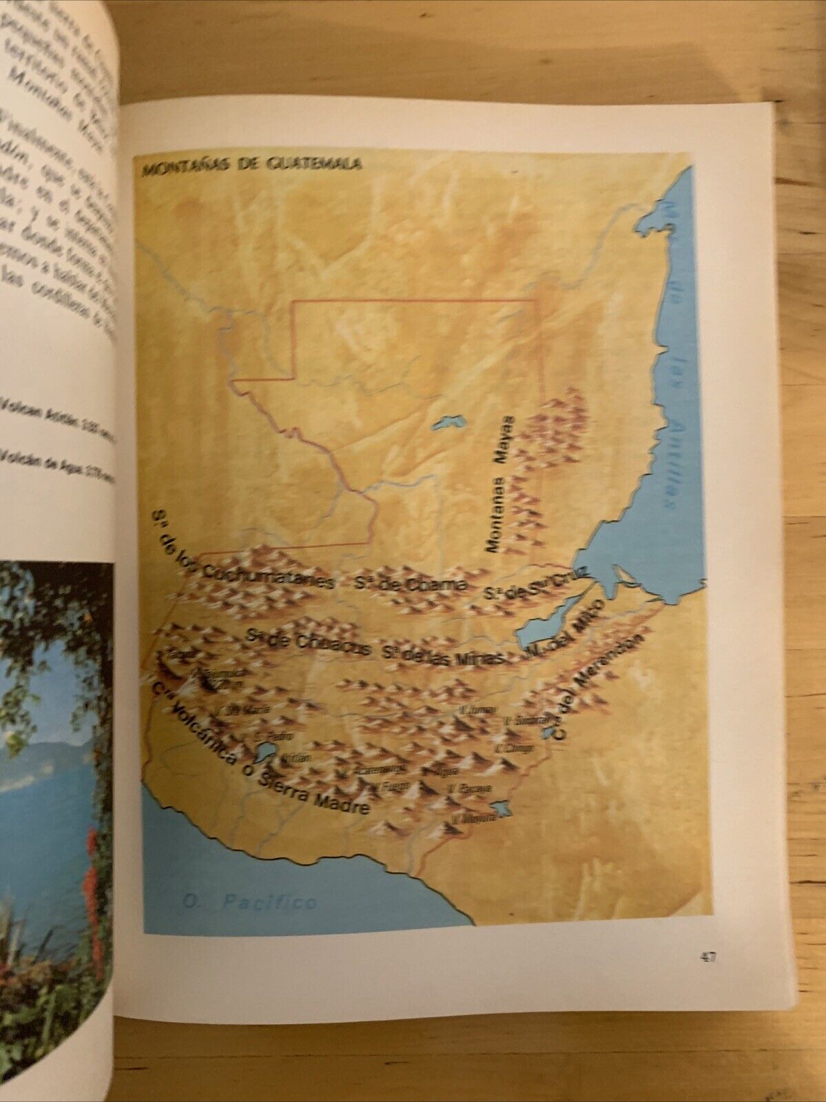 CENTRO AMERICA estudio sociales- MIGUEL NAVARRO 1988