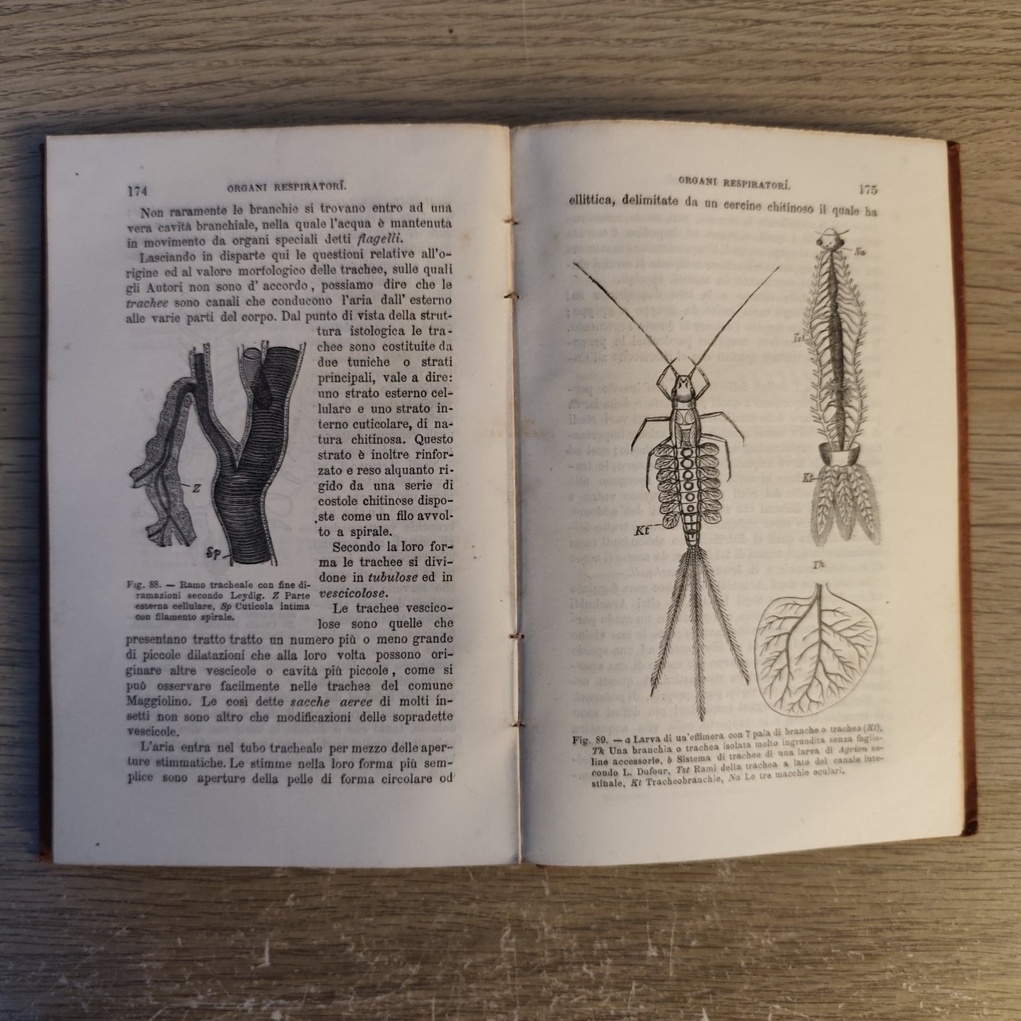 Anatomia comparata - L. Camerano - 1892 - Vallardi ed. 117 figure 