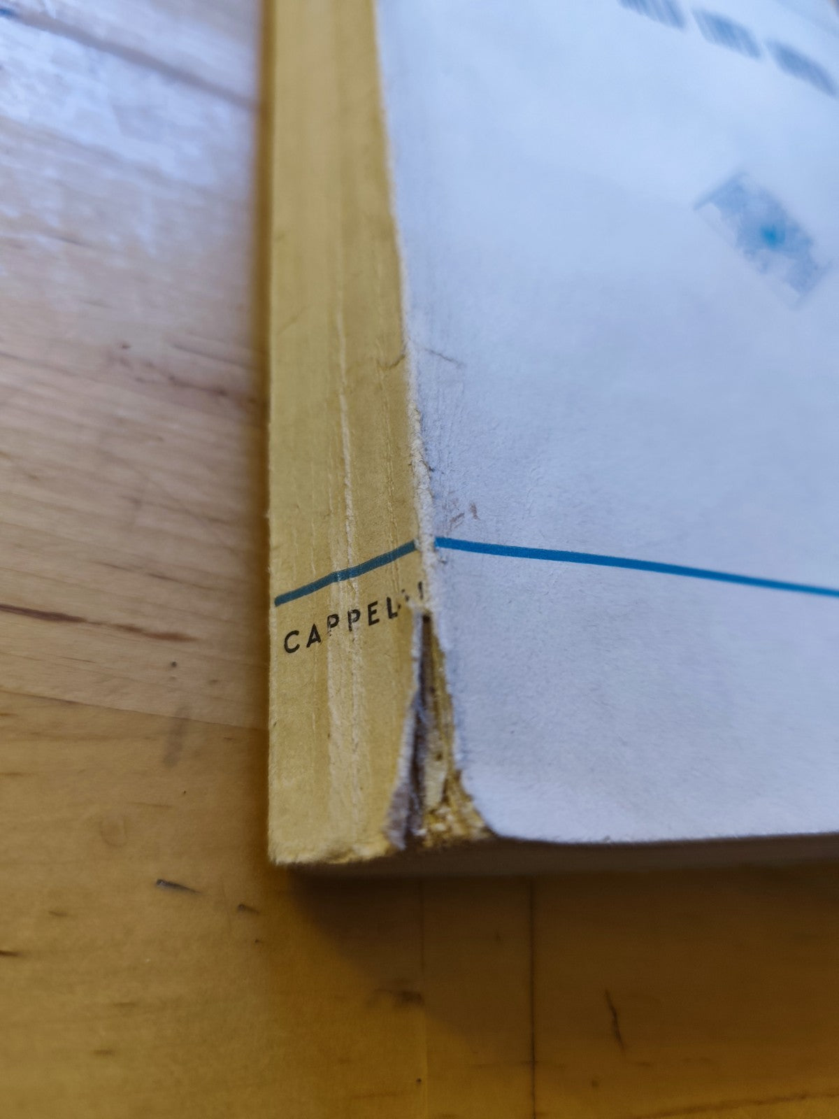 Il podere sulla linea gotica, Luigi Pasquini. Cappelli 1951