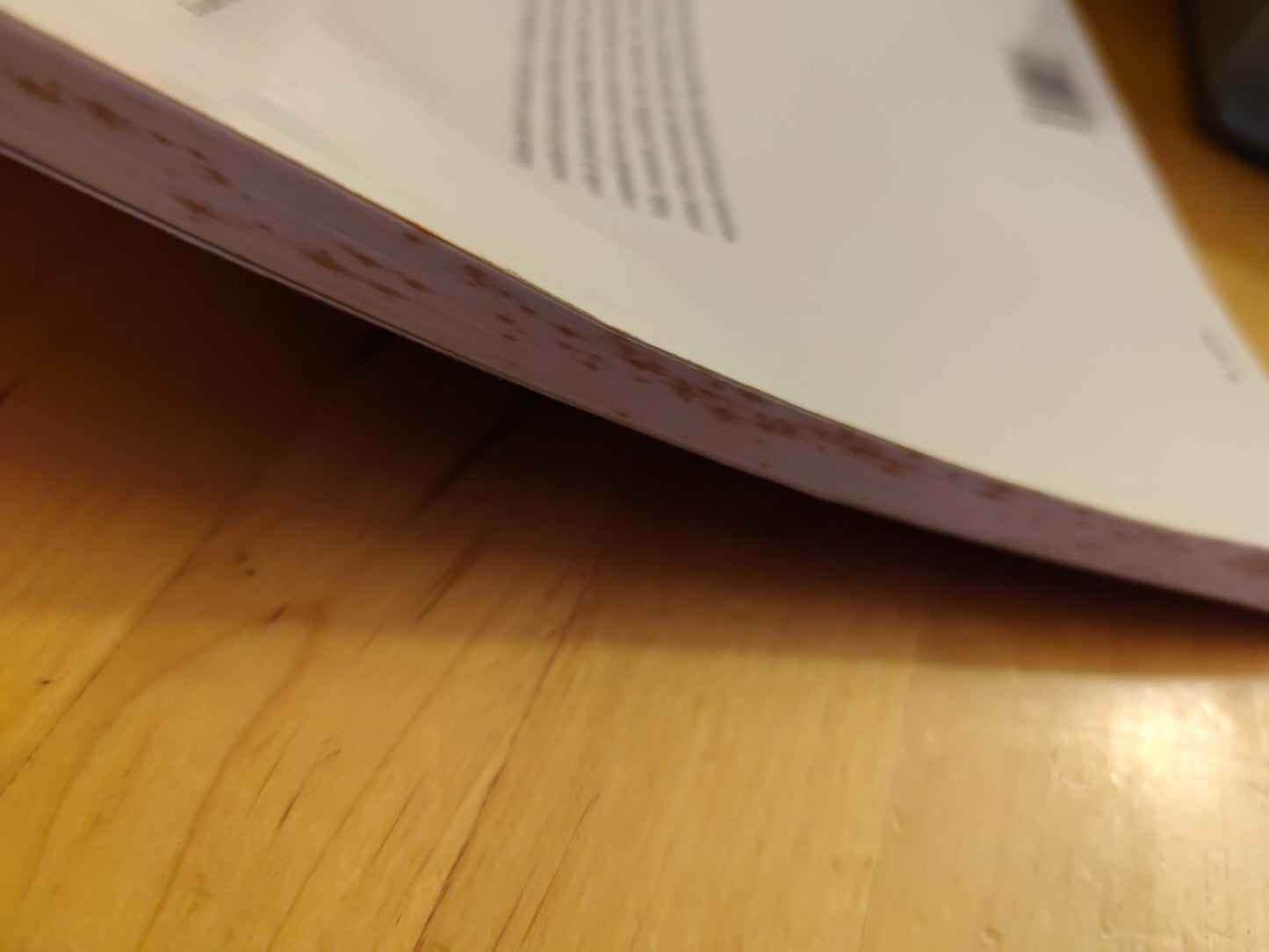 La verità sulla mia famiglia e sul delitto Murri - Gianna Murri. Pendragon 2003