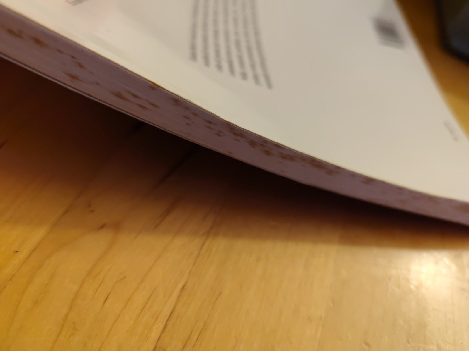 La verità sulla mia famiglia e sul delitto Murri - Gianna Murri. Pendragon 2003