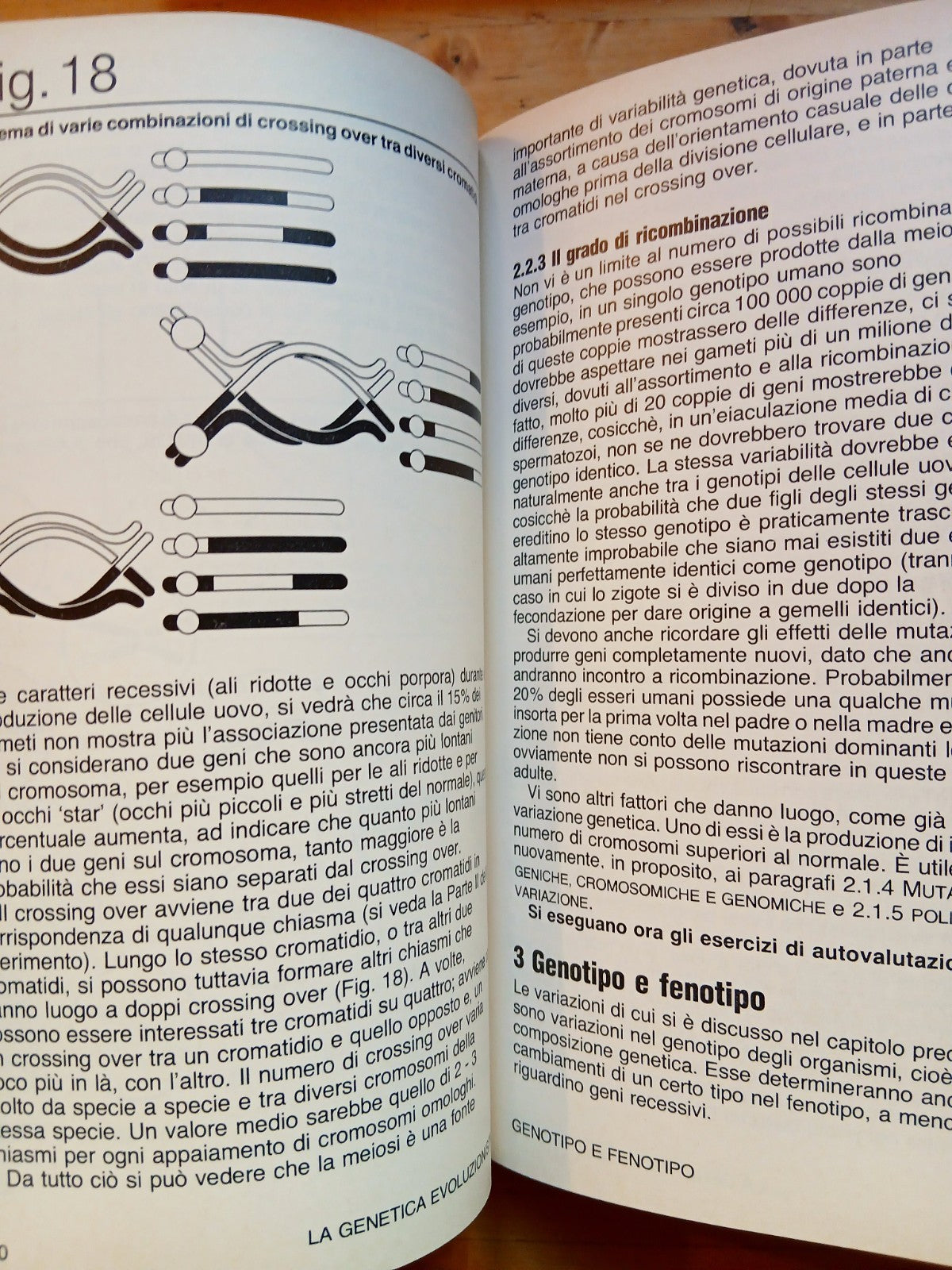 La genetica evoluzionistica - unità e diversità dei viventi - Mondadori 1980