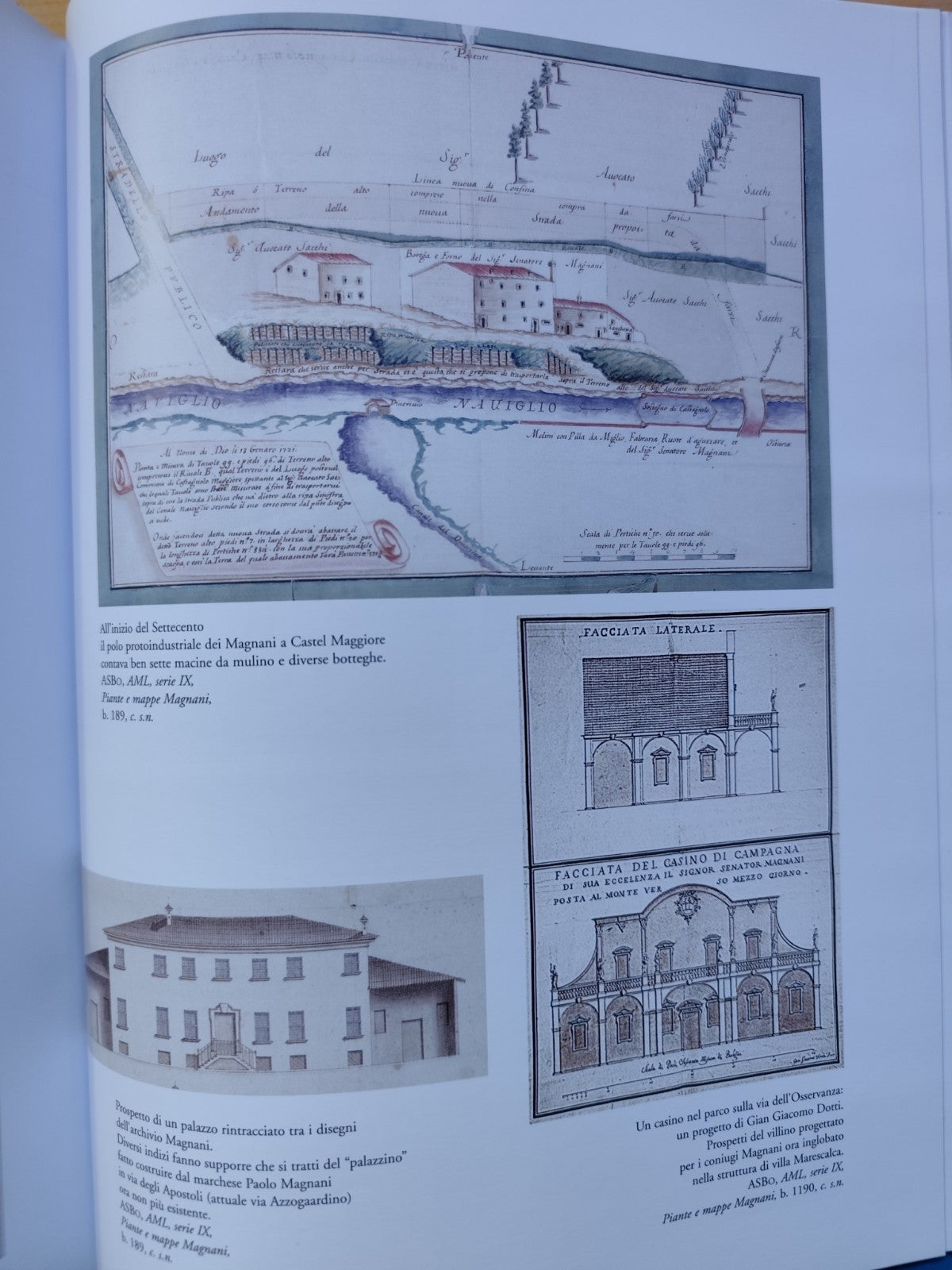 Le Famiglie senatorie di Bologna, Magnani storia genealogia e iconografia, Costa