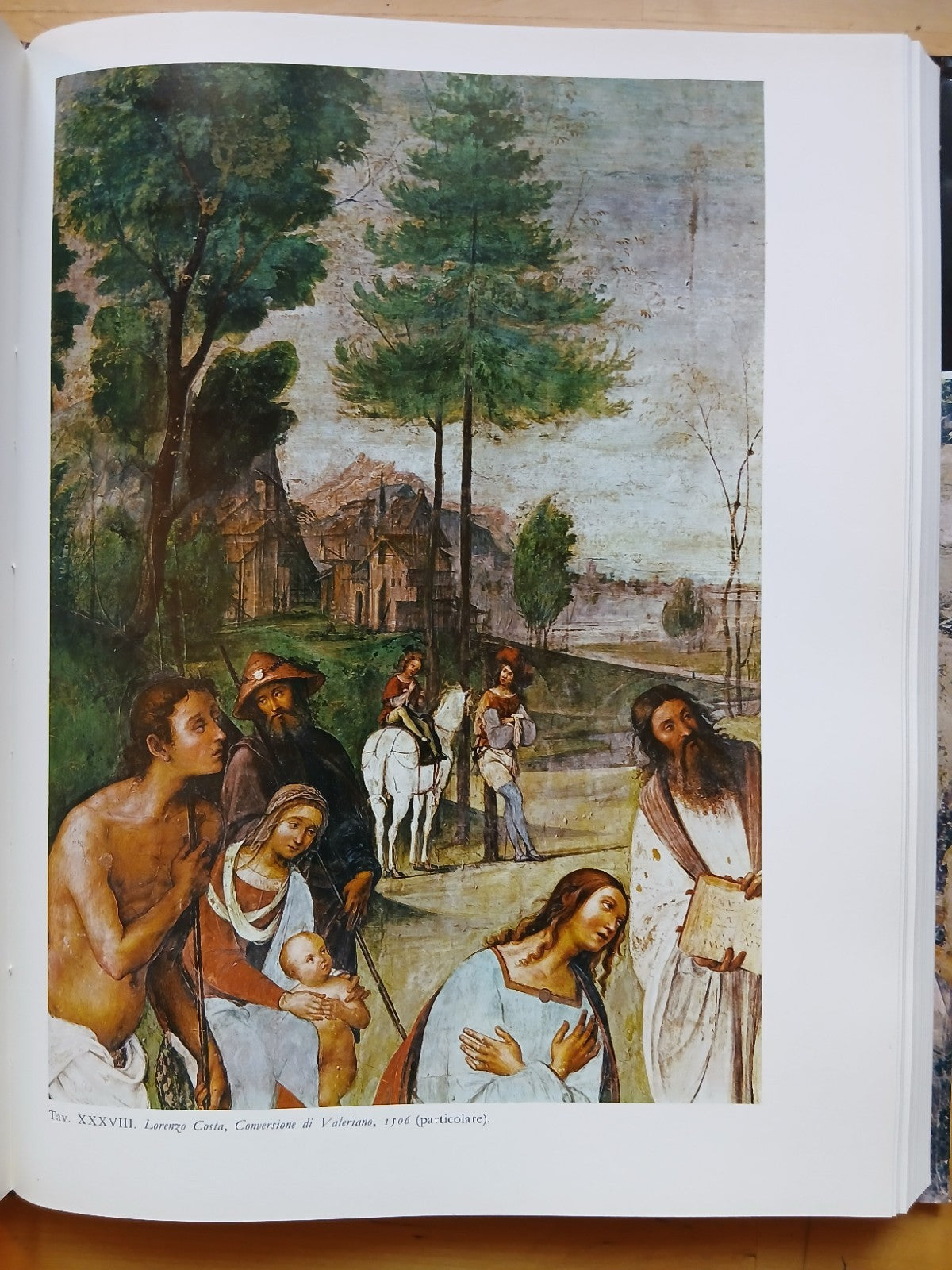 Il Tempio di San Giacomo Maggiore in Bologna studi sulla storia e le opere d'art