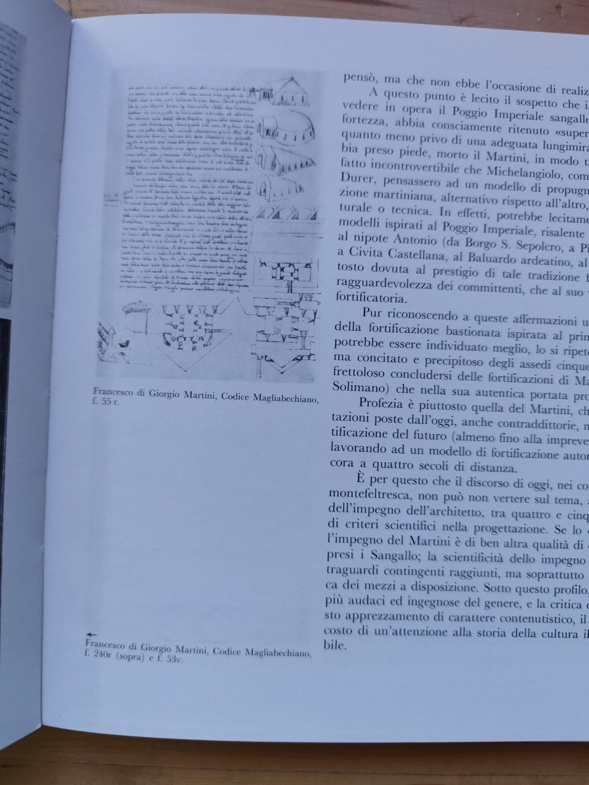 CASTELLI CASTELLOLOGIA storia dell'architettura Rocche e fortificazioni Urbino