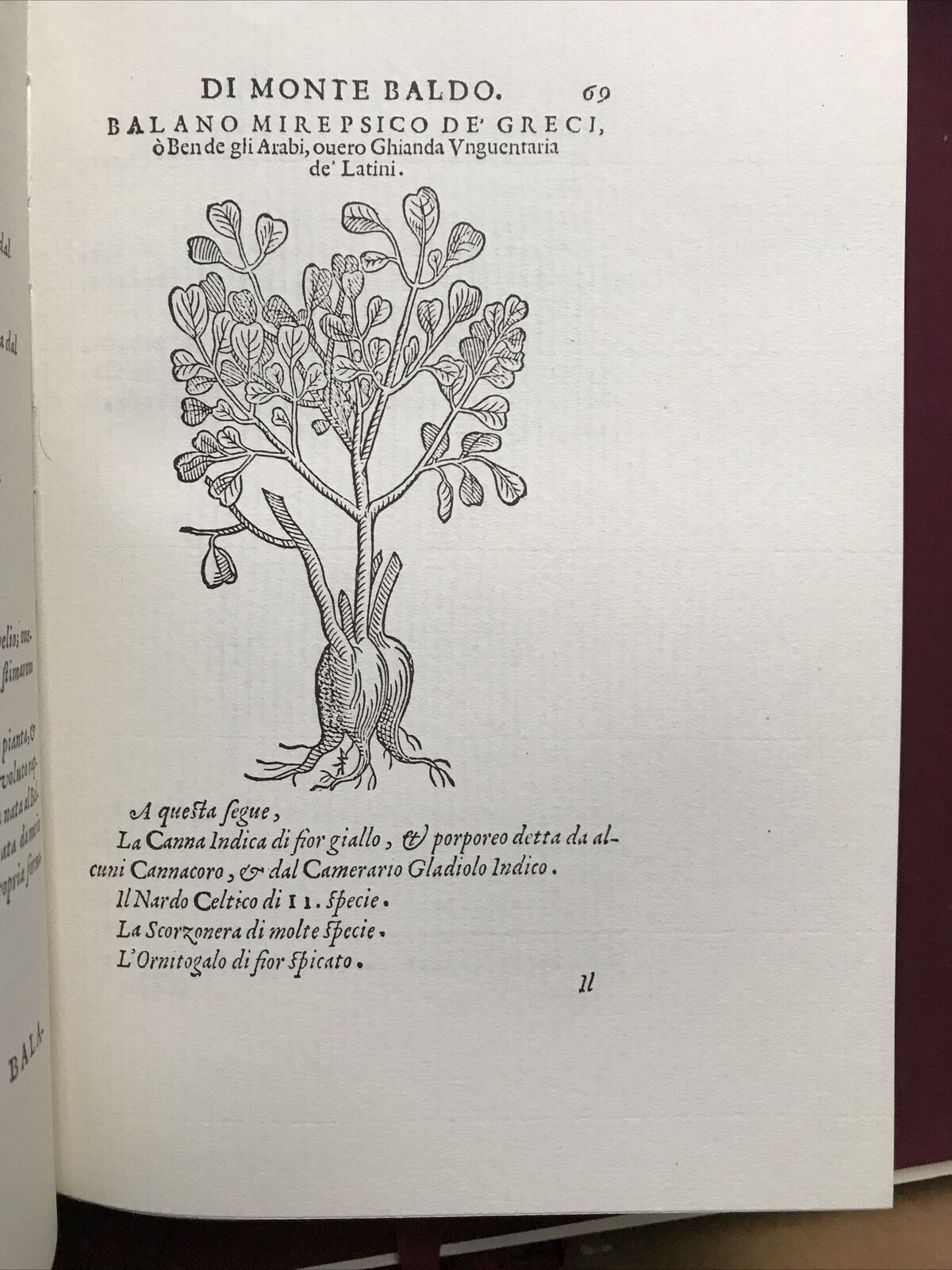 MONTE BALDO, Giovanni Pona. Botanica-Piante rare, facsimile 1972 dell'ed. 1617