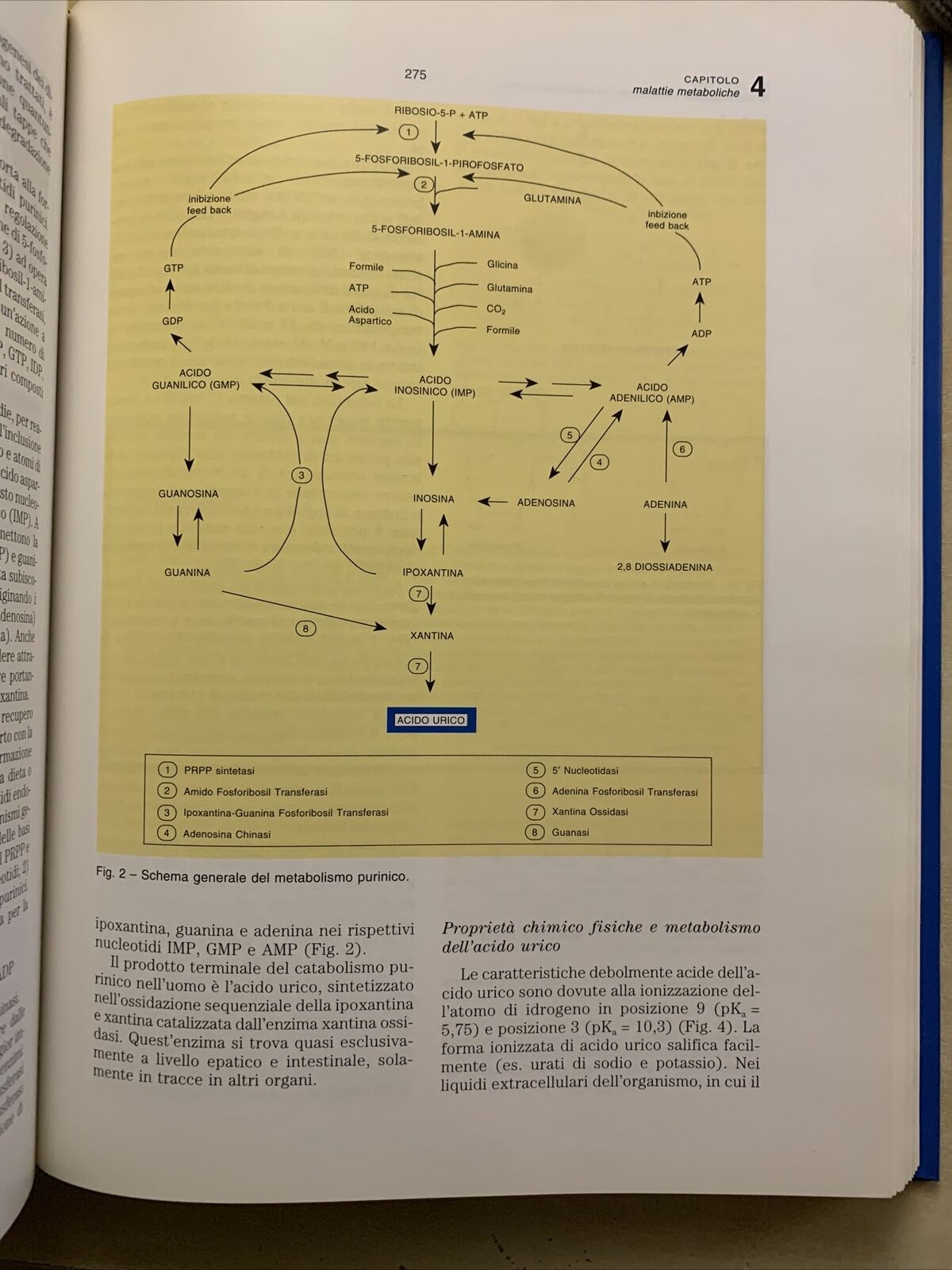 FISIOPATOLOGIA Agnoli Licastro Tomasi Zavagli. Vol. Primo 1. Clueb editore 1994
