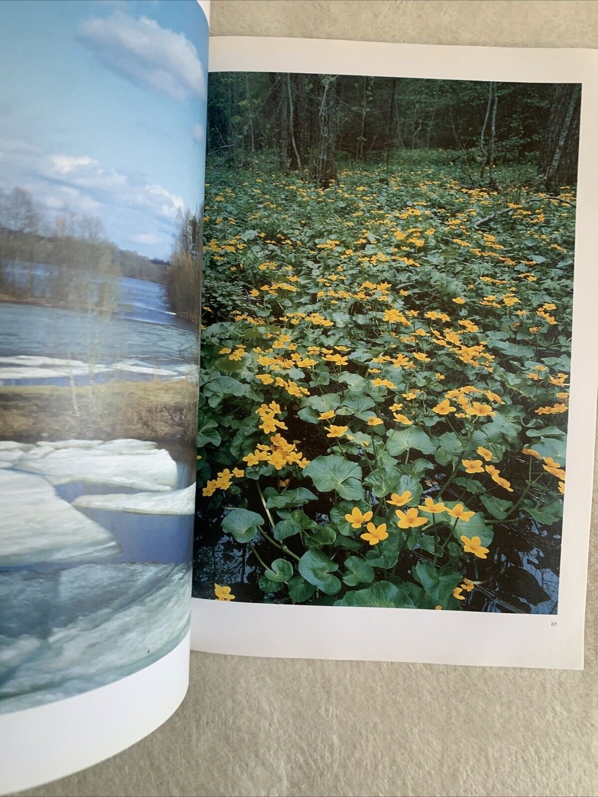 LATVIJA Apgads Jana seta 1999