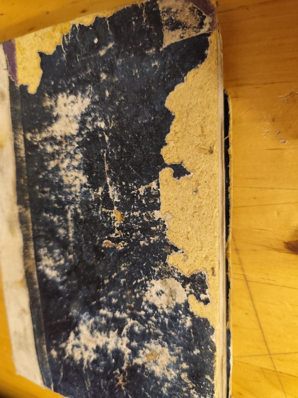 Corso elementare di Geografia e statistica - Luigi Ungarelli, Bologna 1874