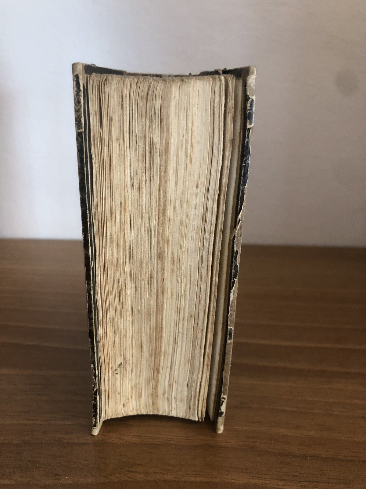 La Gerusalemme liberata, Torquato Tasso 1857 - Antonelli