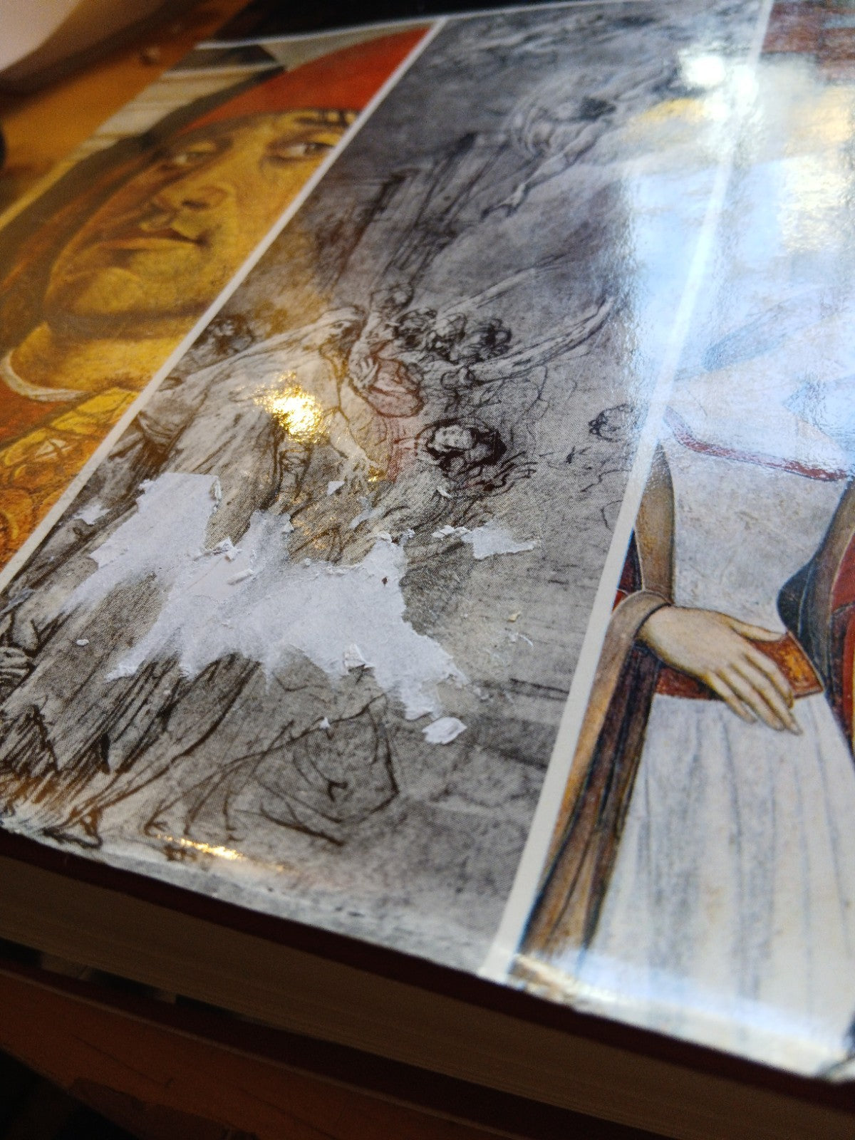 Il Tempio di San Giacomo Maggiore in Bologna studi sulla storia e le opere d'art